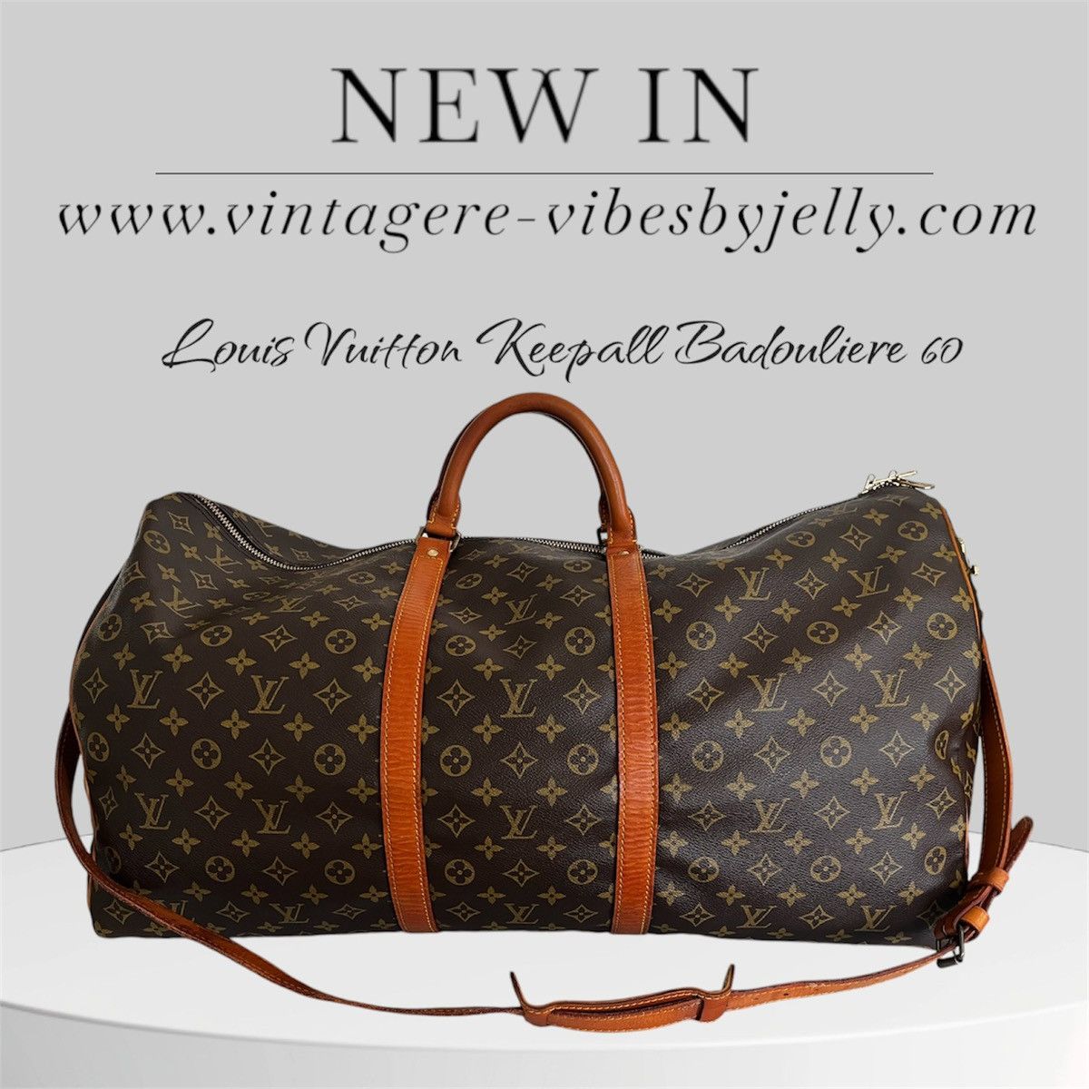 Louis Vuitton Authentic Vintage Louis Vuitton Sirius 60 Travel Bag