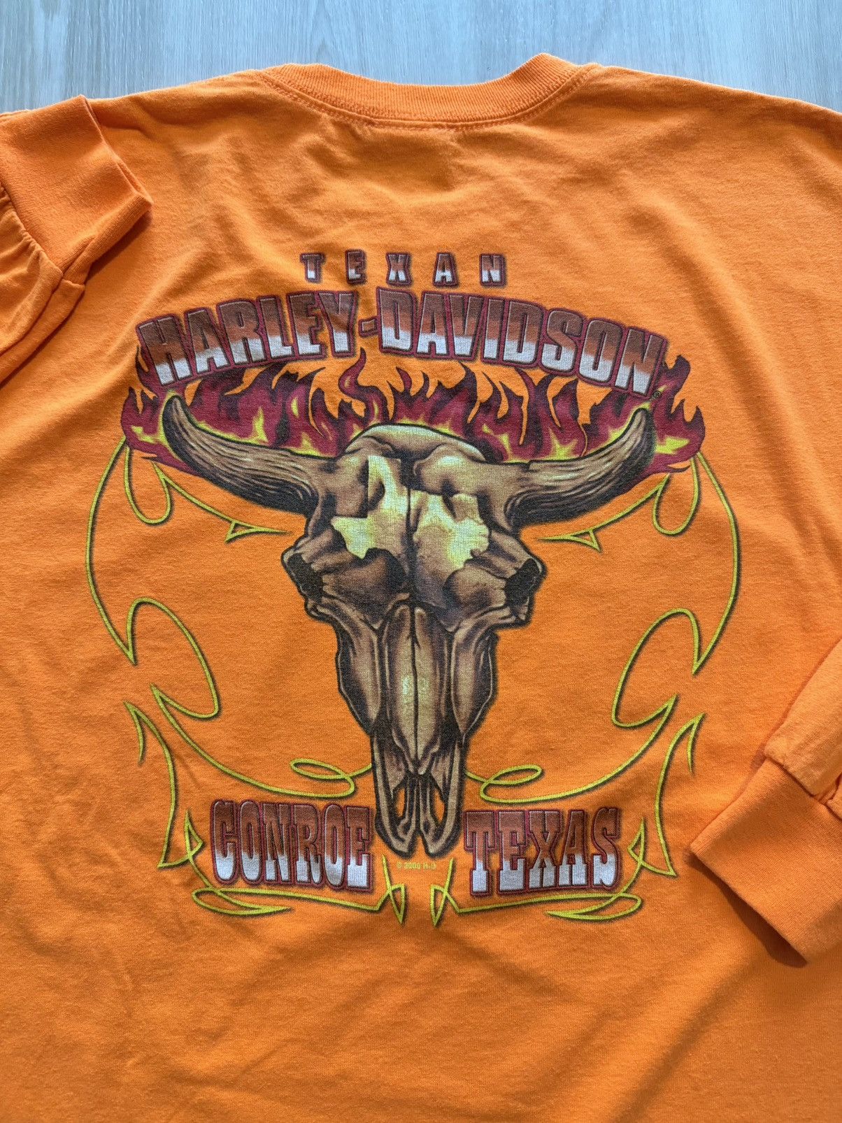Harley Davidson Vtg Harley Davidson Skull Horns Flames Texas Sweatshirt XL Size US XL / EU 56 / 4 - 1 Thumbnail