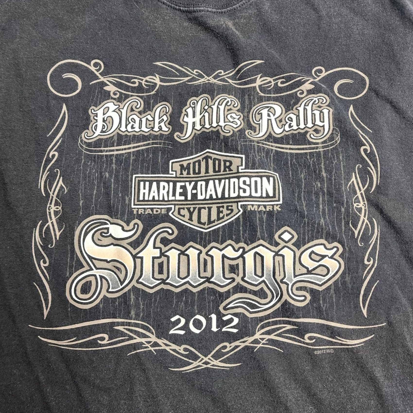 Harley Davidson Harley-Davidson Sleeveless Shirt XL Black Hills Rally 2012 Hill City South Dakota Mens Size US XL / EU 56 / 4 - 3 Thumbnail