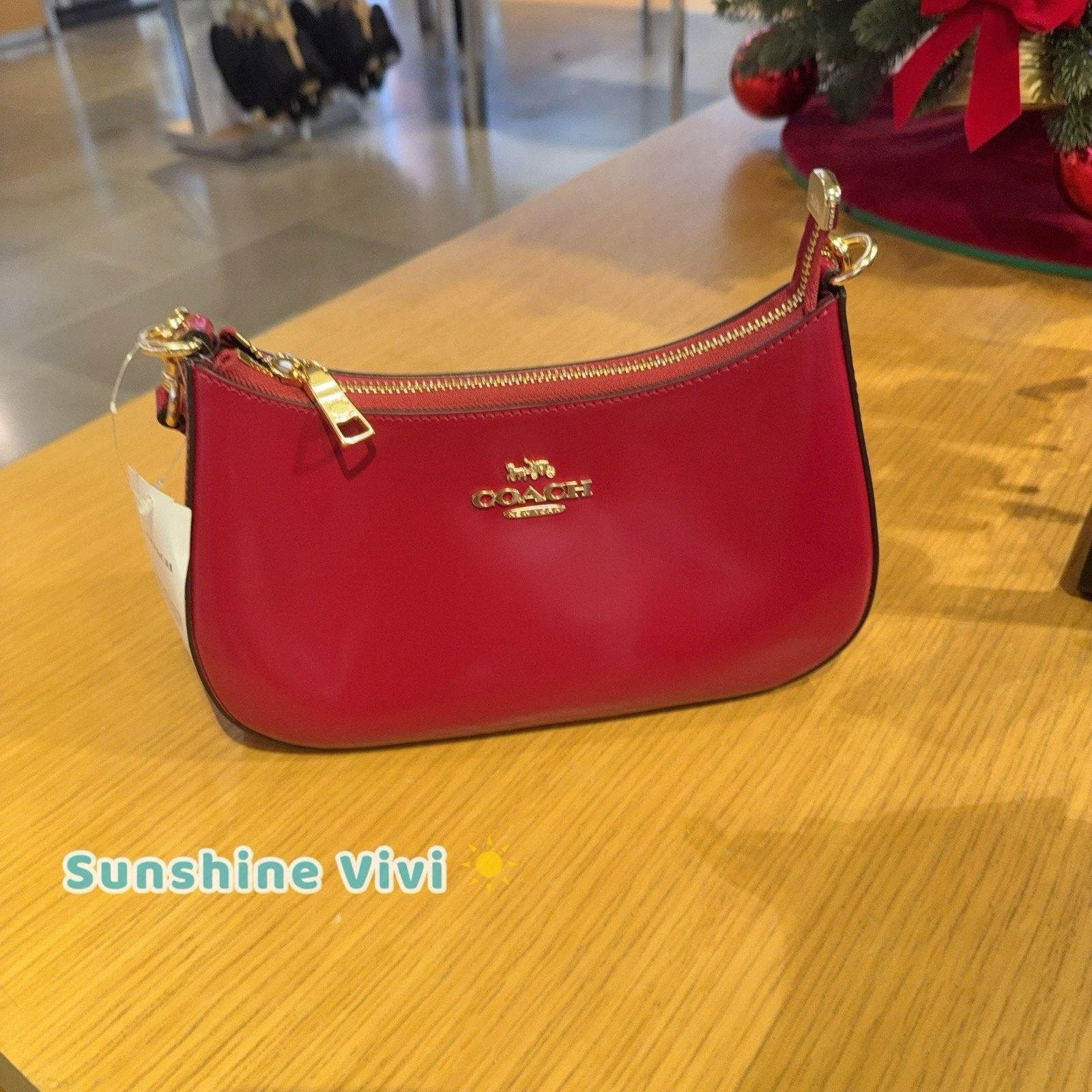 Coach NWT Coach Teri Shoulder Bag Crossbody Leather cv938 Ruby Size ONE SIZE - 8 Thumbnail