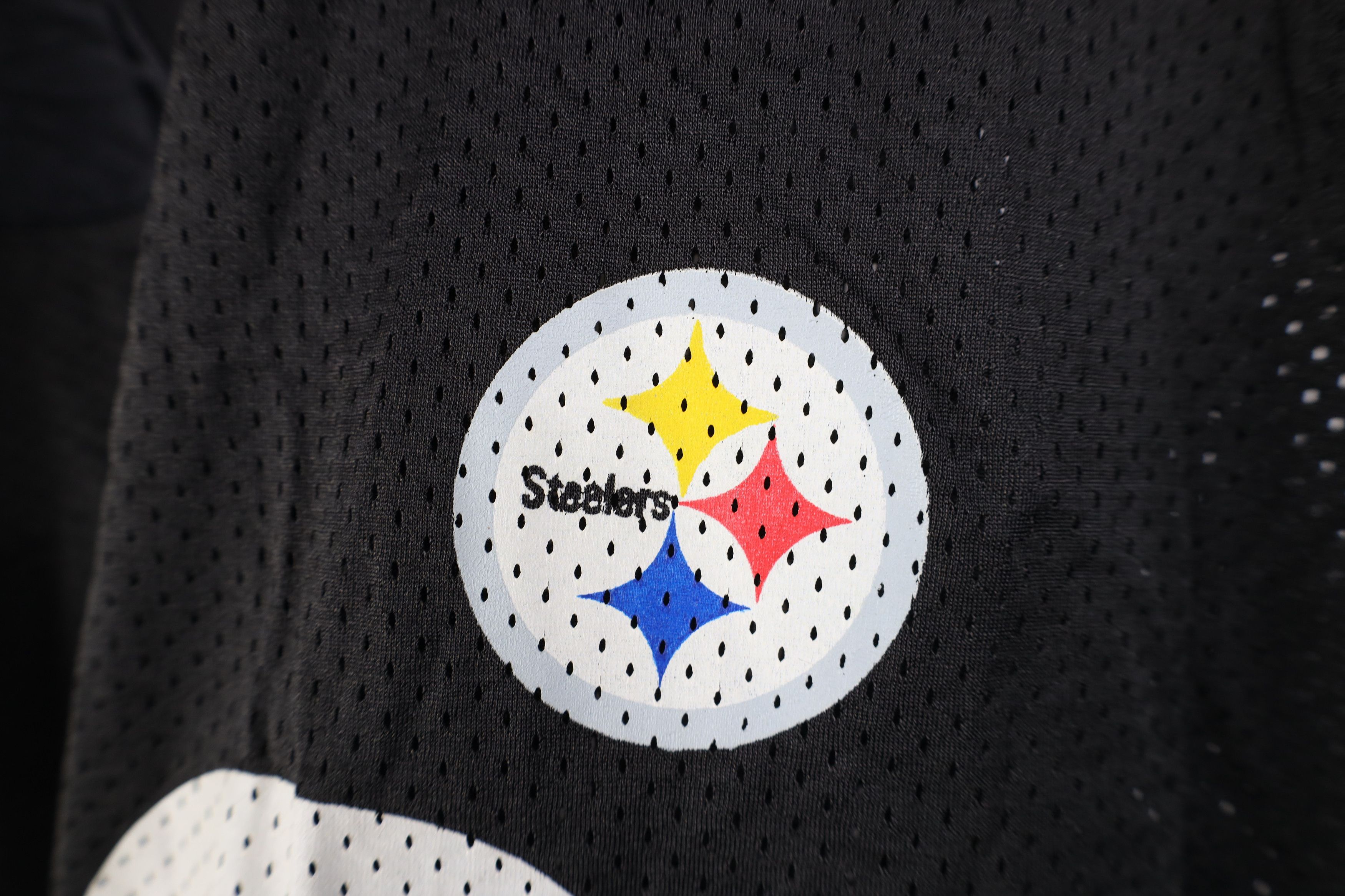 Reebok Vintage Reebok Pittsburgh Steelers Football Jersey #43 Size US L / EU 52-54 / 3 - 6 Thumbnail