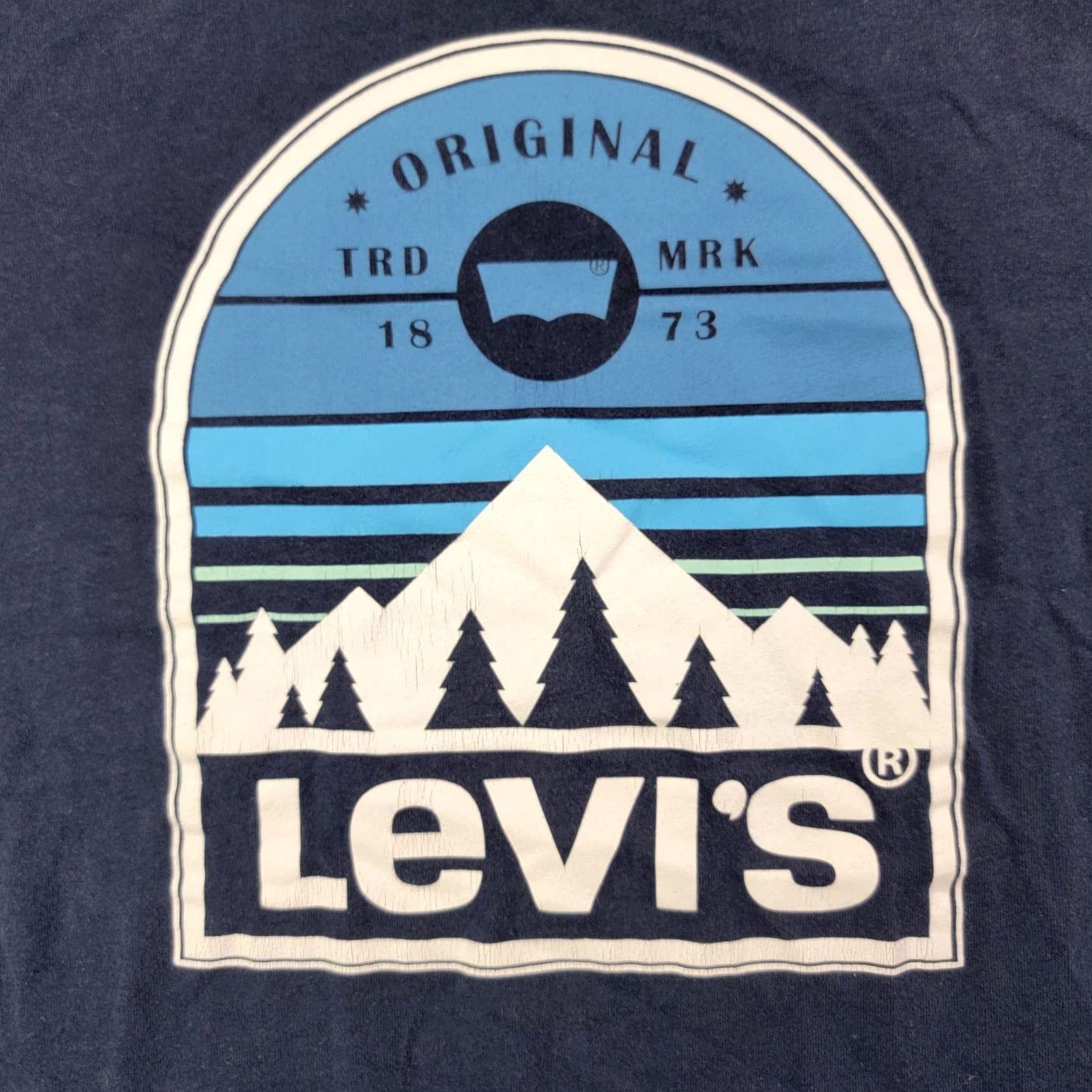 Levi's Levi's Shirt Mens M Blue Long Sleeve Crewneck Graphic Cotton Logo Casual Size US M / EU 48-50 / 2 - 2 Thumbnail