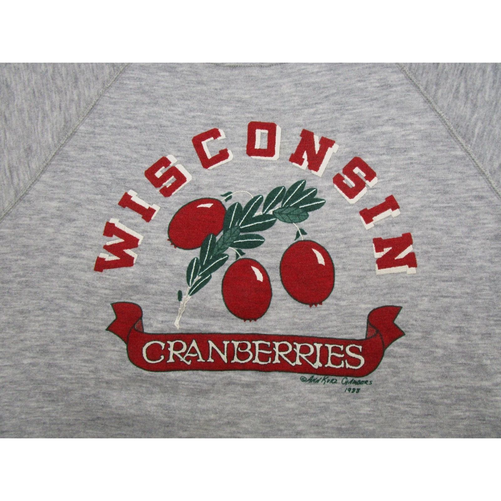 Vintage Vintage Wisconsin Cranberries Raglan Sweatshirt Crewneck 1988 Read Mens M Gray All Seasons Hooded 80s Sports Sweatshirt Size US M / EU 48-50 / 2 - 2 Thumbnail