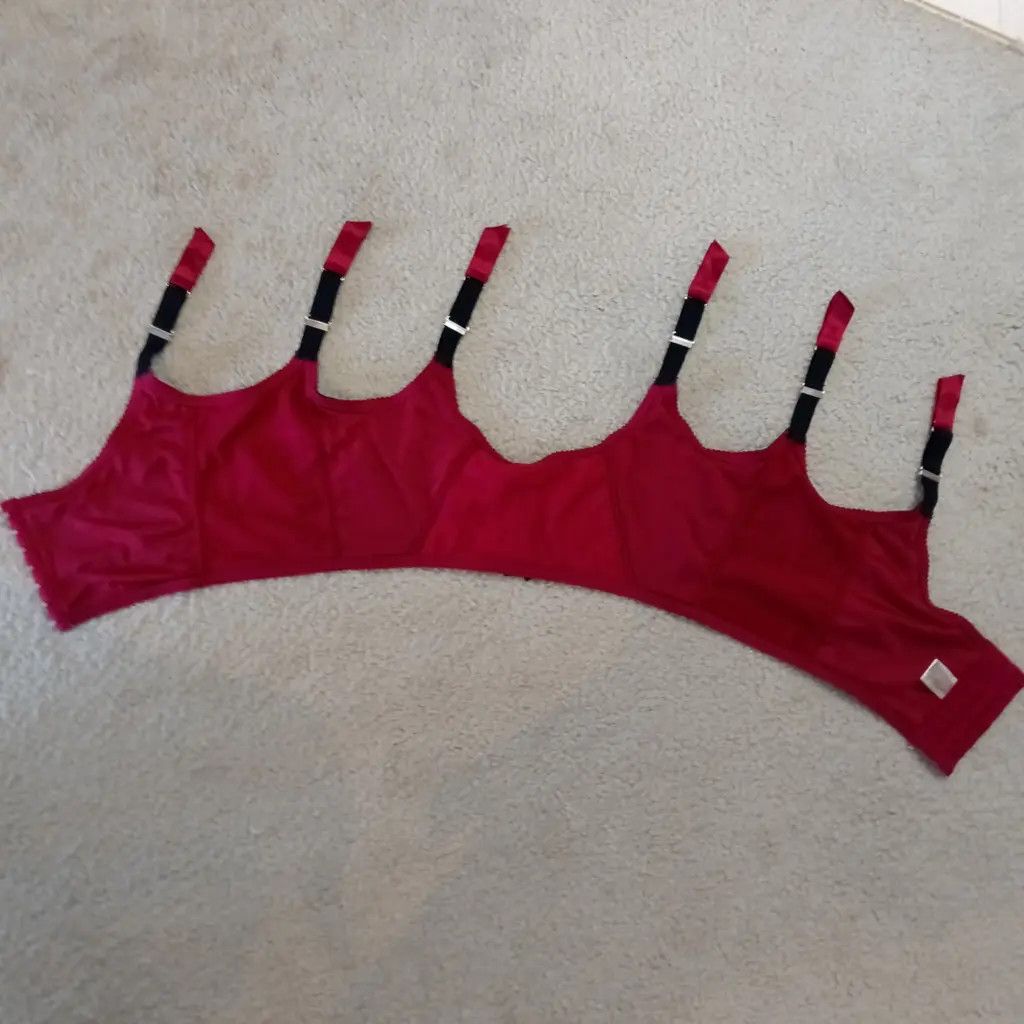 Other Secrets In Lace 3XL Crimson Corset Bralette — Rare Archive Size 3XL / US 20-22 - 1 Thumbnail
