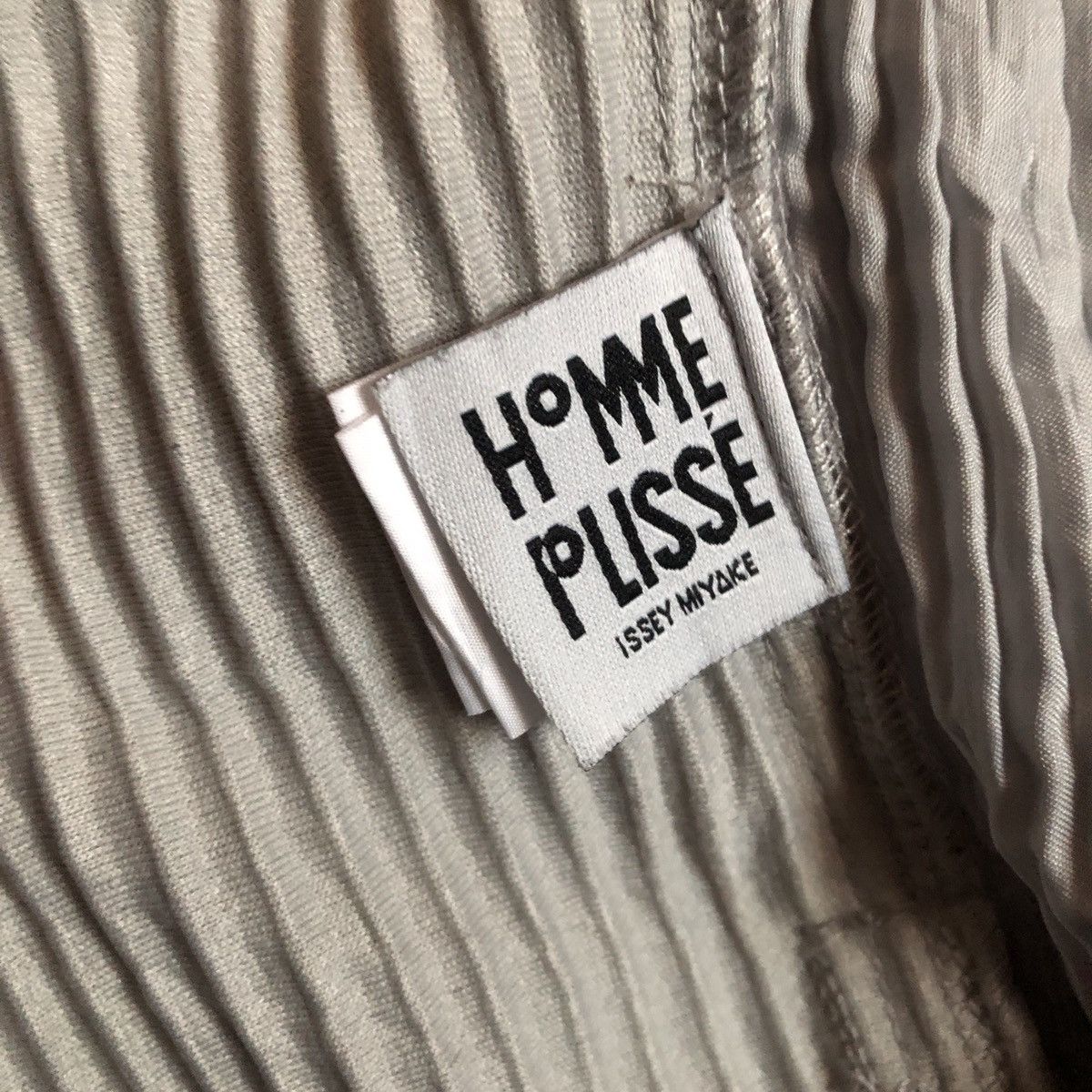 Homme Plisse Issey Miyake S/S 2020 Homme Plisse Short Size US 26 / EU 42 - 5 Thumbnail
