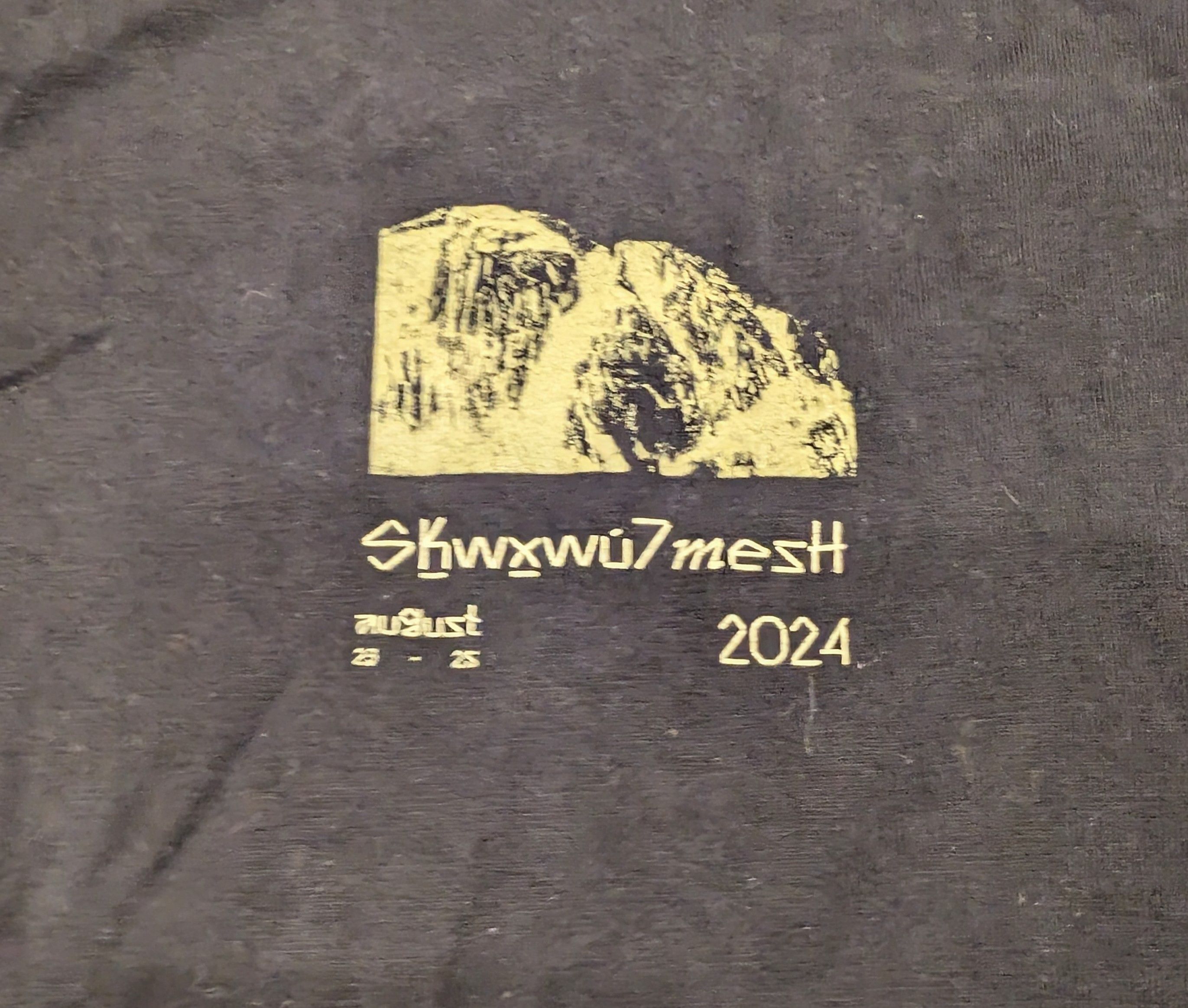 Arc'teryx RARE Arc'teryx Academy 2024 Squamish T-shirt Size XL / US 12-14 / IT 48-50 - 6 Thumbnail
