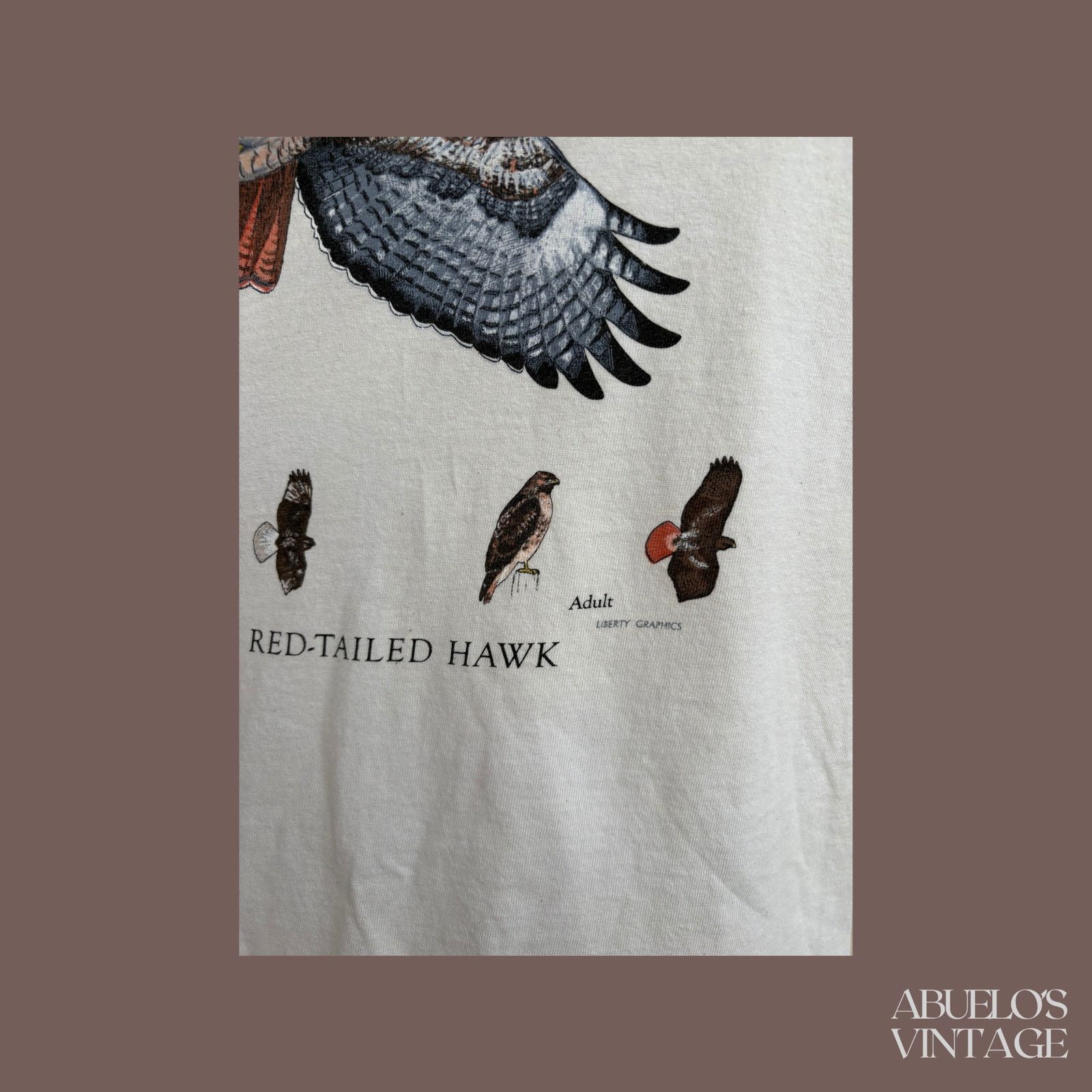 Gildan VTG Red-Tailed Hawk Tee | Sibley Wildlife Graphic Size US M / EU 48-50 / 2 - 2 Thumbnail