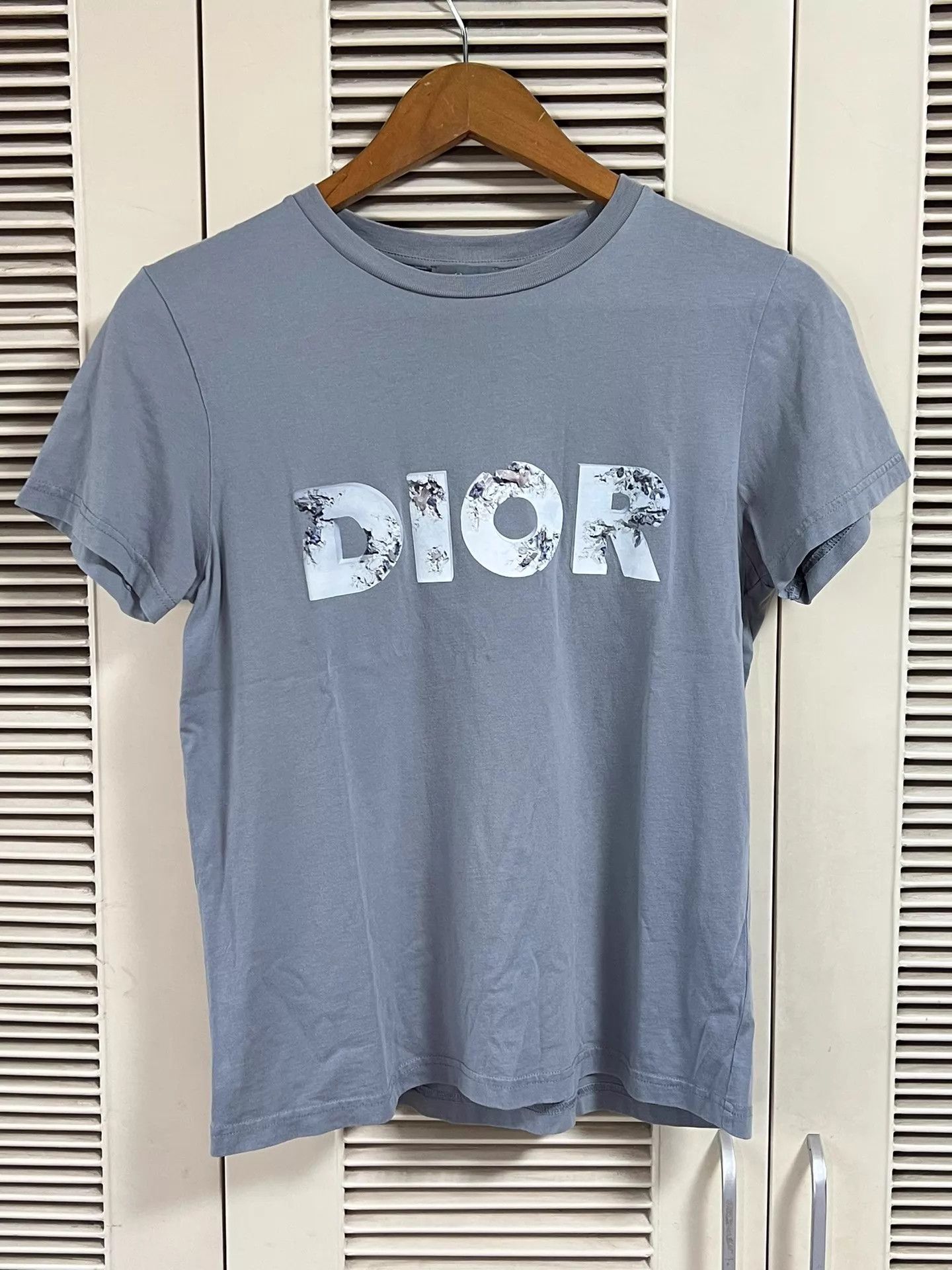 Dior Dior Haze Gray Oversized Unisex Tee S (DIOR Logo) Size S / US 4 / IT 40 - 1 Thumbnail