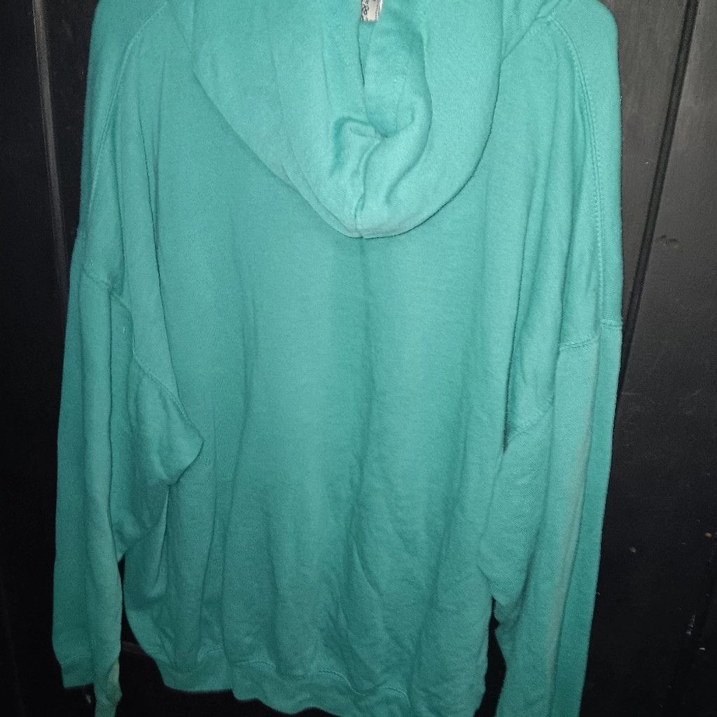 Pacific and Co. Pacific & Co.light green sweatshirt, no drawstring, euc 1X Size XL / US 12-14 / IT 48-50 - 5 Thumbnail