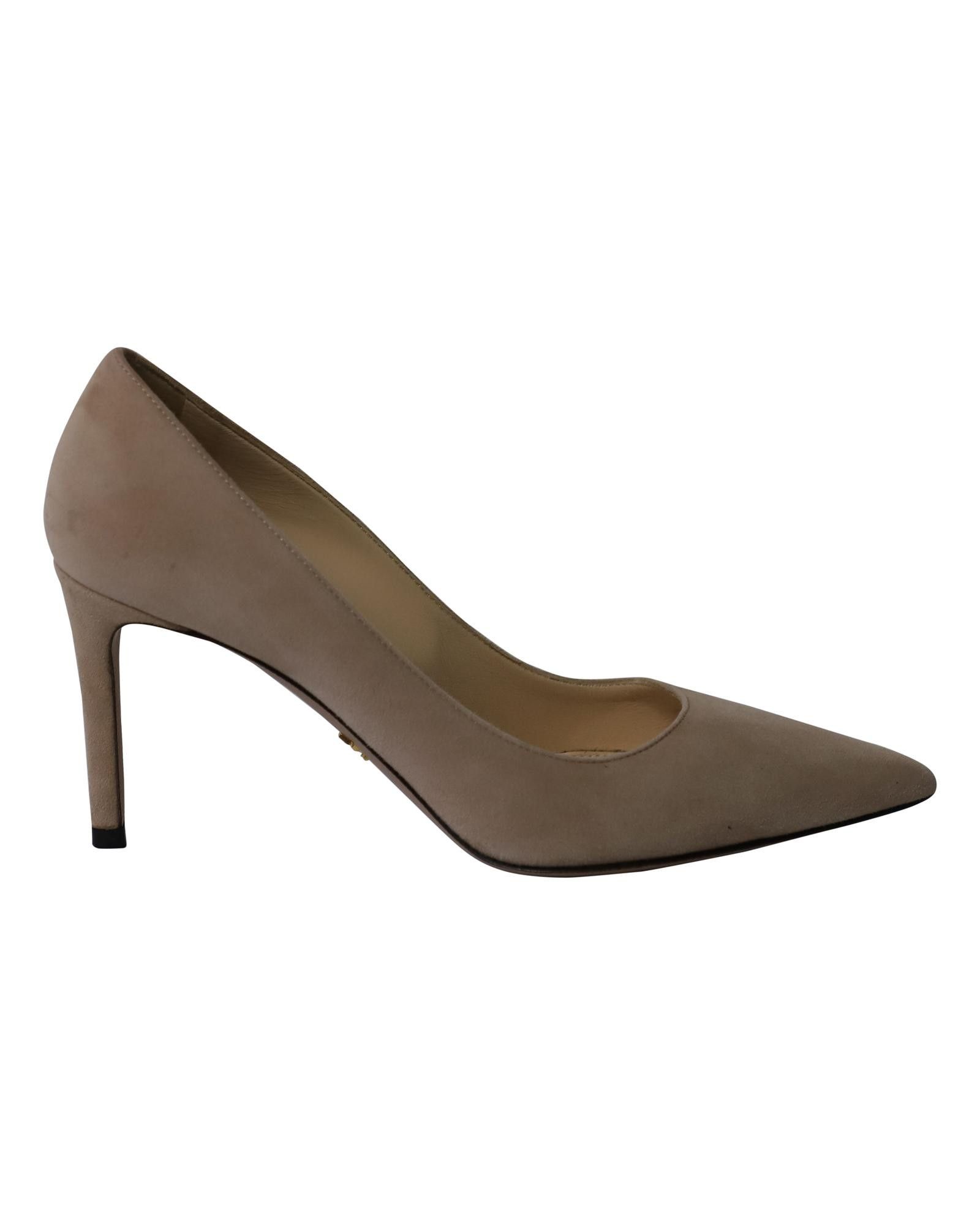 PRA 26SS Pointed Toe Heels Burgundy Suede 593832
