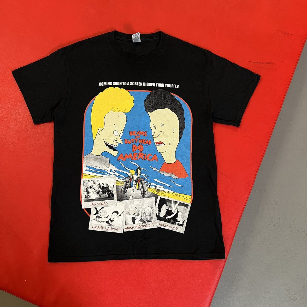 Vintage mtv beavis and butthead tour tee Sz M