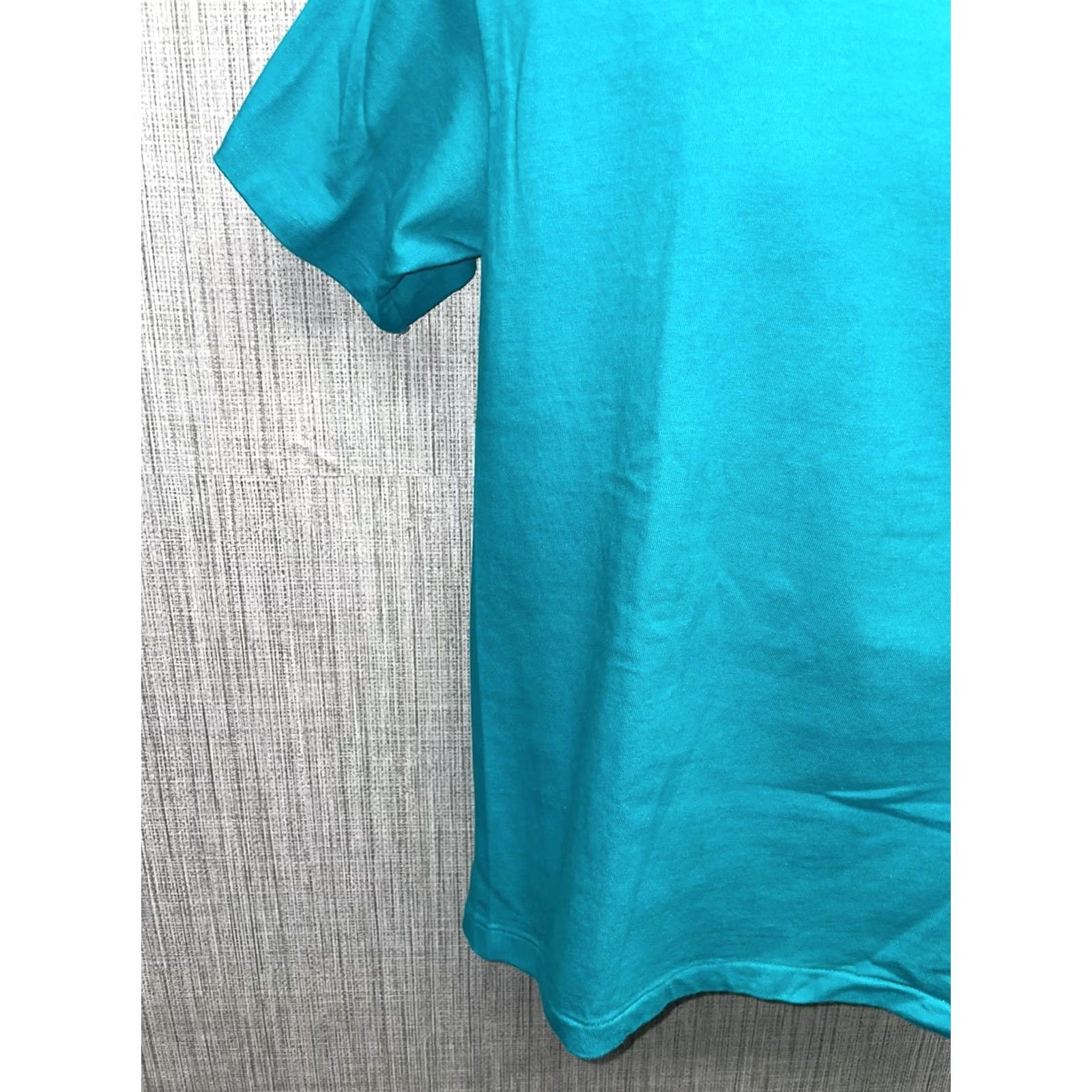 Hanes Hanes Beefy Adult M USA T-Shirt Blue Graphic Men M San Diego Zoo USA Shirt Mens Blue Size US M / EU 48-50 / 2 - 7 Thumbnail