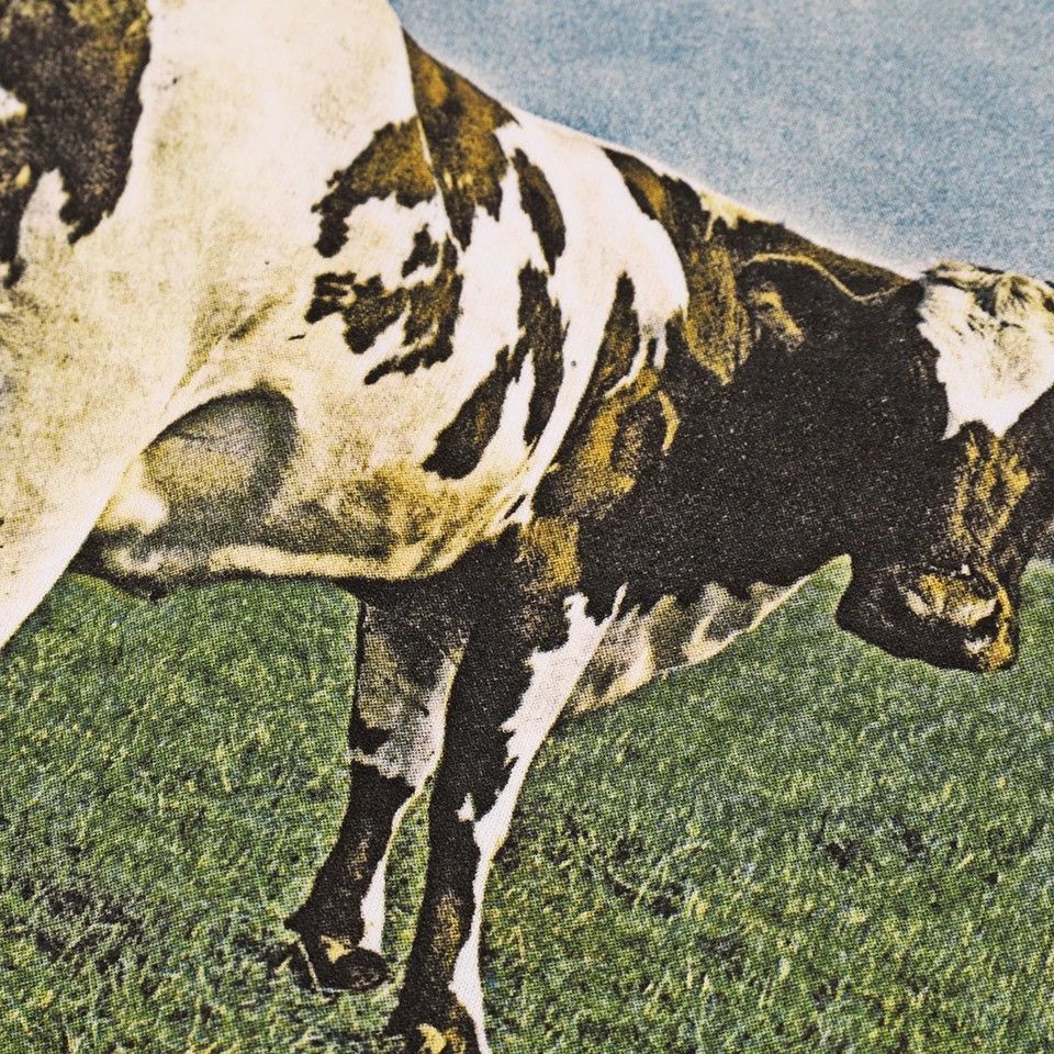 Japanese Brand Atom heart mother pink Floyd Size US S / EU 44-46 / 1 - 5 Thumbnail