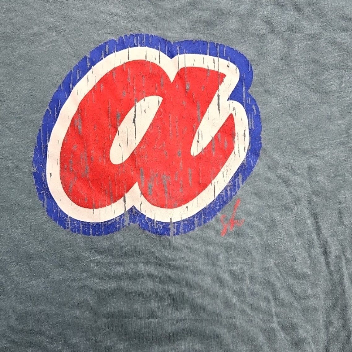Vintage Atlanta Braves T-shirt Men Large Grayish Blue Logo Crew Neck Short Sleeve Distresses Size US L / EU 52-54 / 3 - 2 Thumbnail