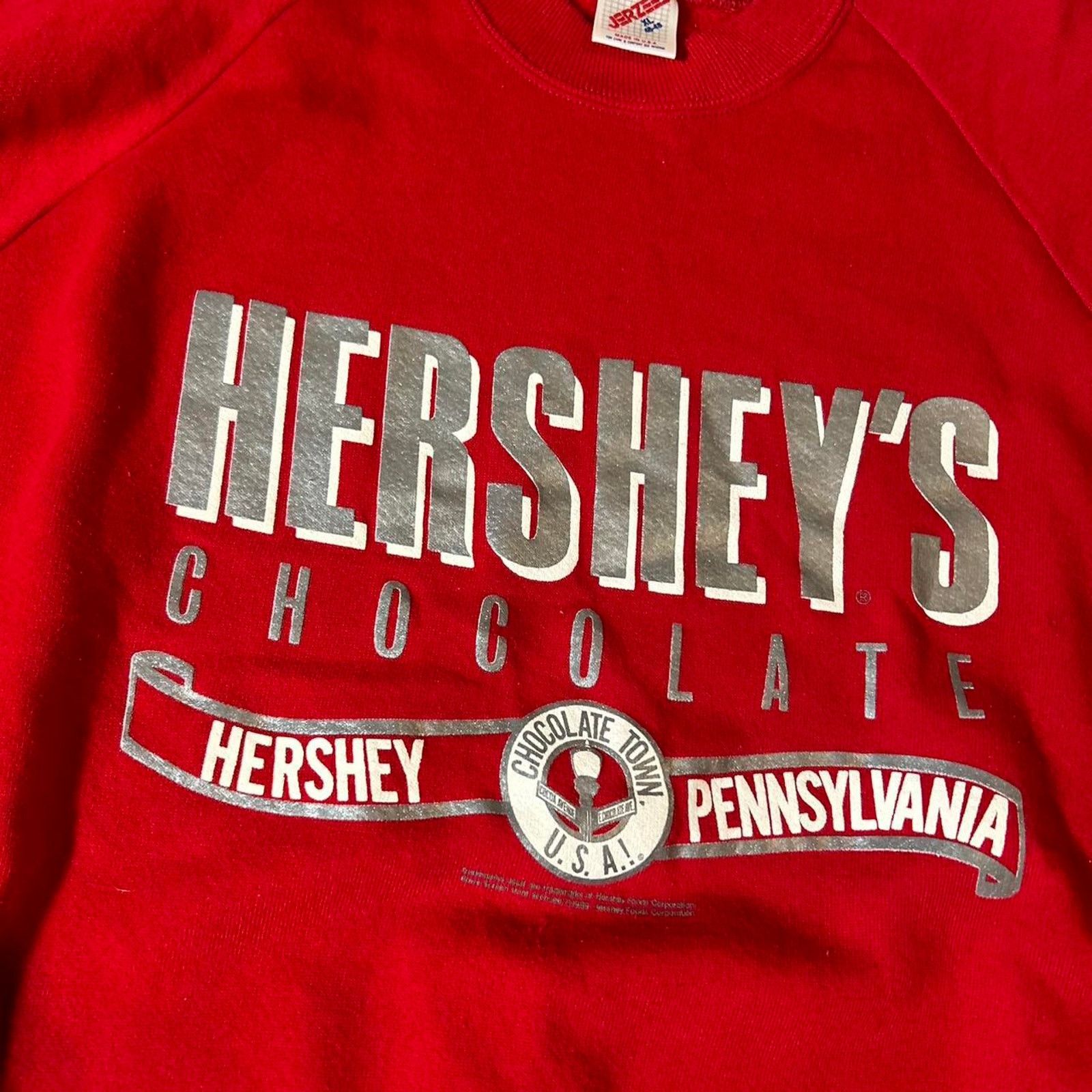 Jerzees 90s red hershey chocolate crack Size US XL / EU 56 / 4 - 3 Thumbnail