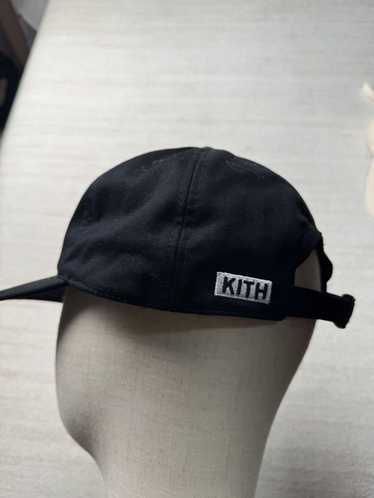 Kith AMNH Fossil cap Size ONE SIZE - 5 Thumbnail