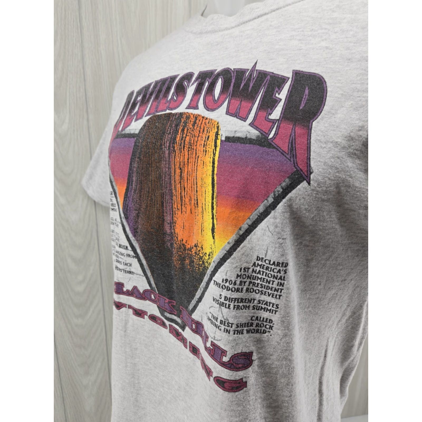 Port & Company VTG 90s Devils Tower Wyoming Gray Shirt Graphic Tee Port & Company L Men Casual T-Shirt Size US L / EU 52-54 / 3 - 5 Thumbnail