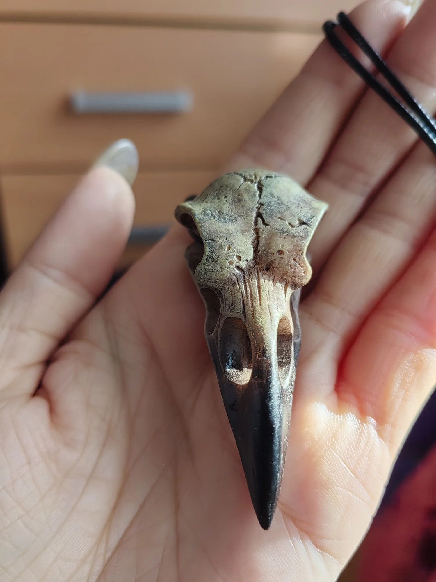 Jewelry 3D Goth Raven Raven Skull Necklace Size ONE SIZE - 5 Thumbnail