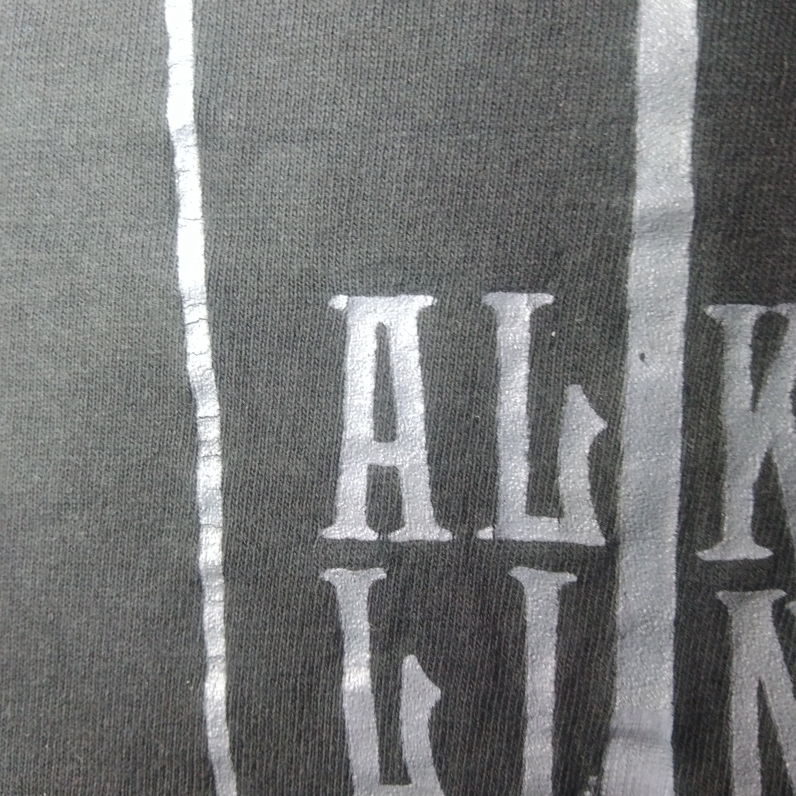 Band Tees × Hanes × Vintage Vintage 2000's Alkaline Trio tee Size US M / EU 48-50 / 2 - 7 Thumbnail