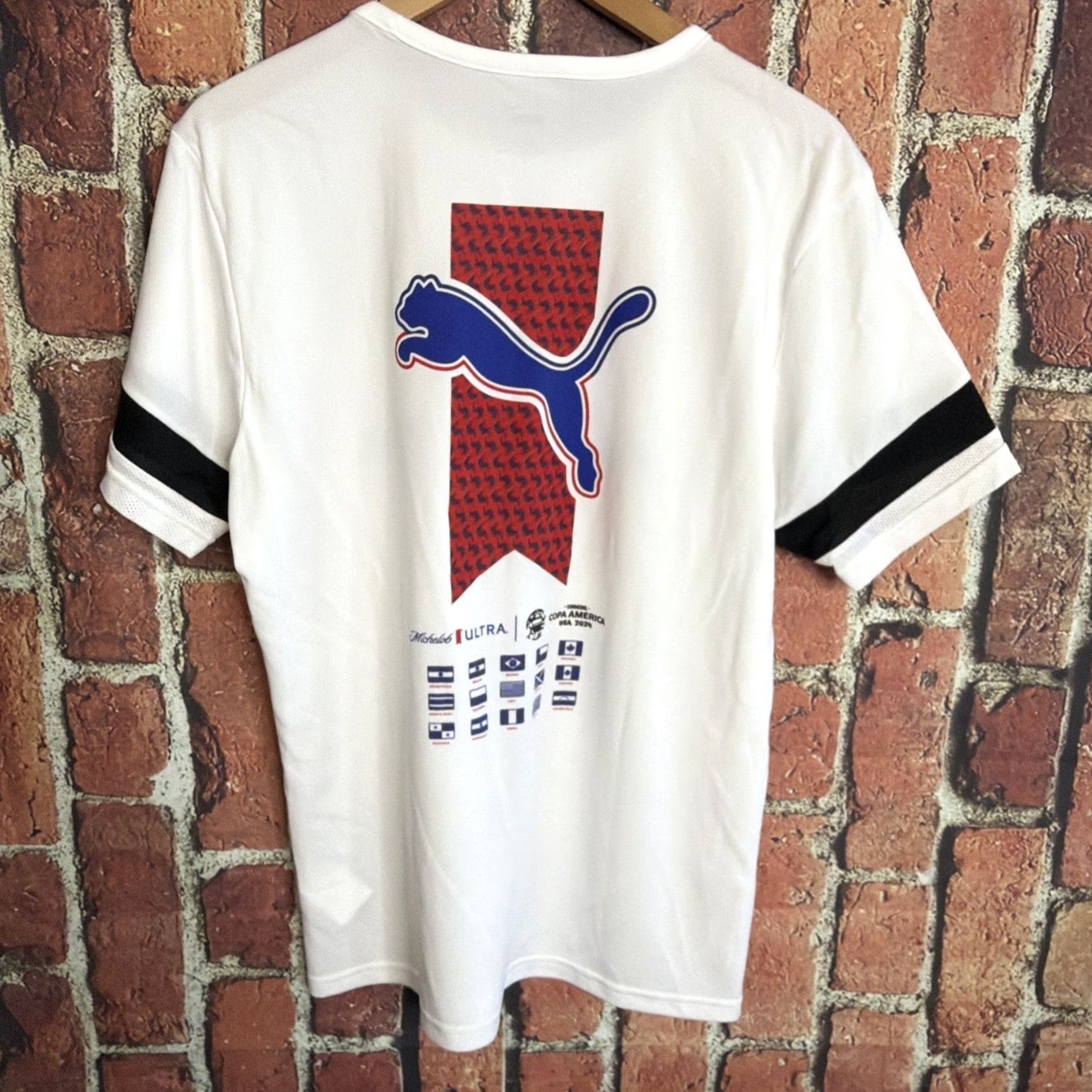 Puma PUMA Jersey Mens T-Shirt White Conmebol Copa America 2024 Drycell Size L Size US L / EU 52-54 / 3 - 3 Thumbnail