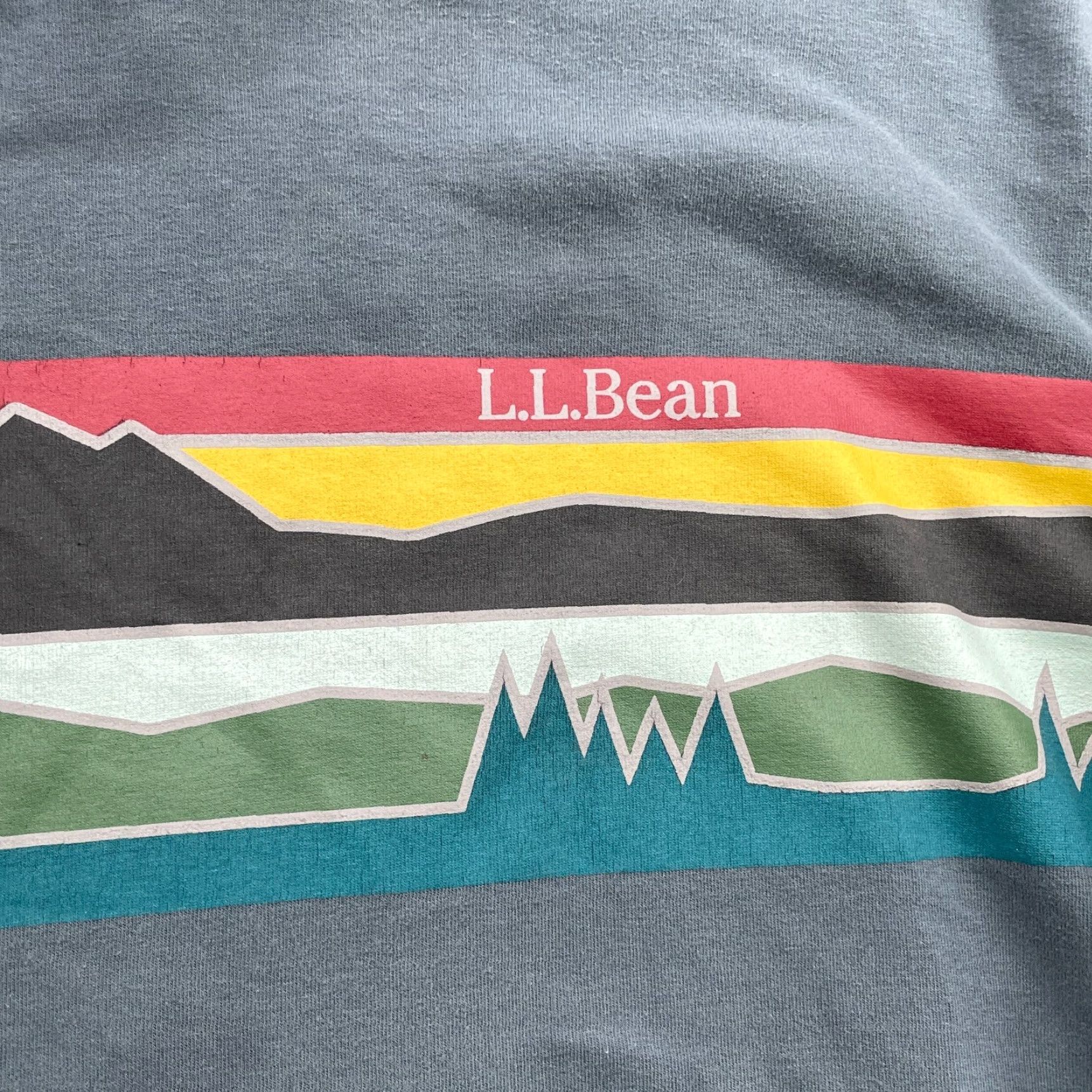 Vintage L.L.Bean Hoodie Mens Large Gorpcore Boho Surf Skater Travel Preppy Relax Hiking Vintage: No Size US L / EU 52-54 / 3 - 4 Thumbnail