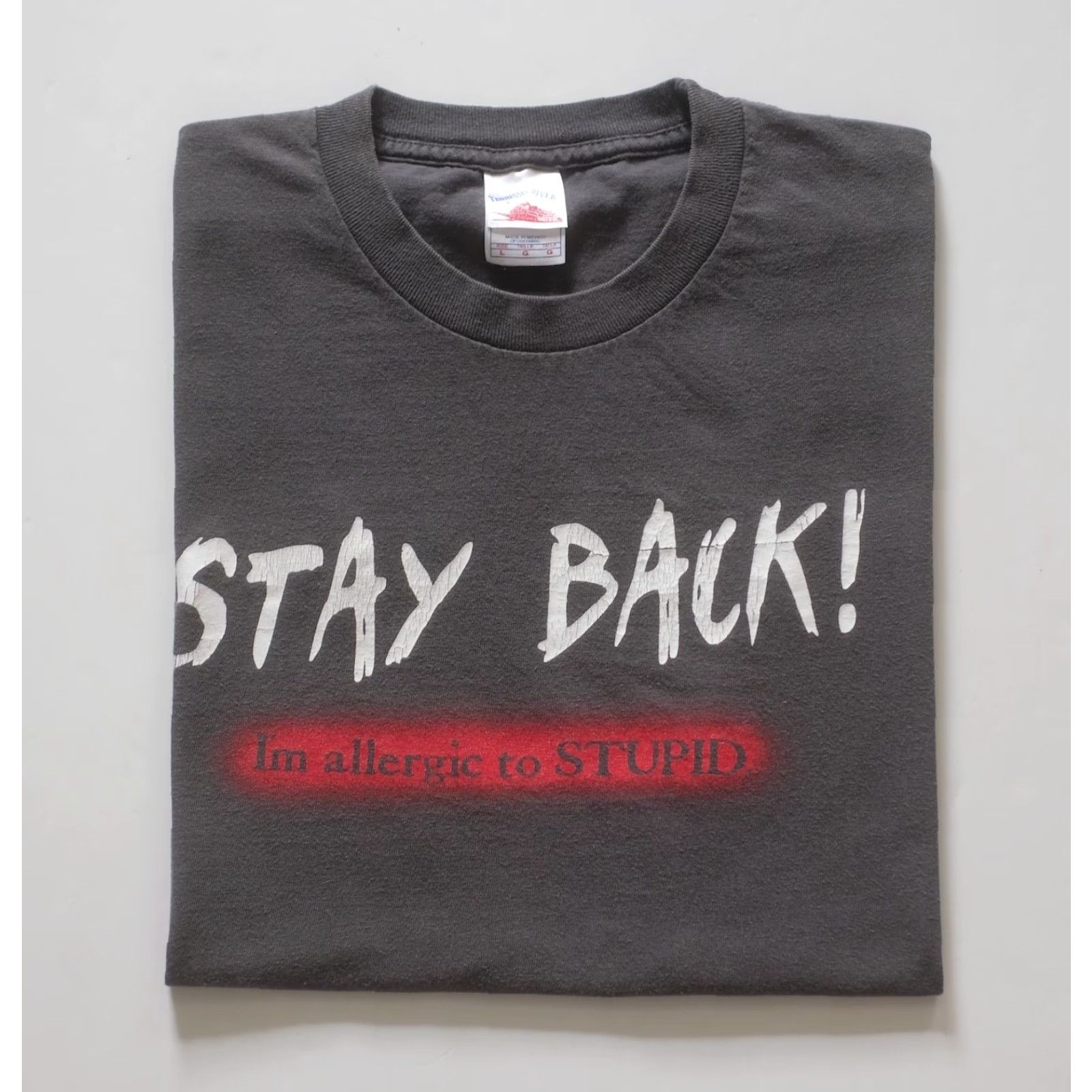 Vintage VINTAGE Funny 90s Stay Back Stupid Faded Sleeveless T Shirt Tennessee River Mens L Gray Cotton Shirt Size US L / EU 52-54 / 3 - 5 Thumbnail