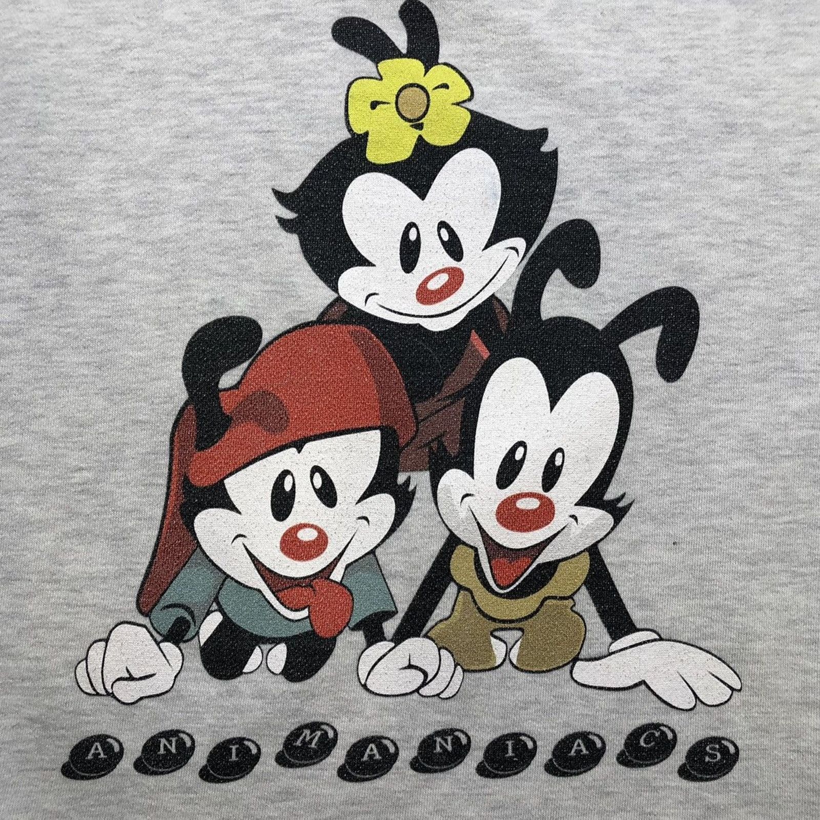Cartoon Network × Vintage Vintage Warner Bros Anamaniacs Sweatshirt Cartoon Pullover Size US M / EU 48-50 / 2 - 2 Thumbnail