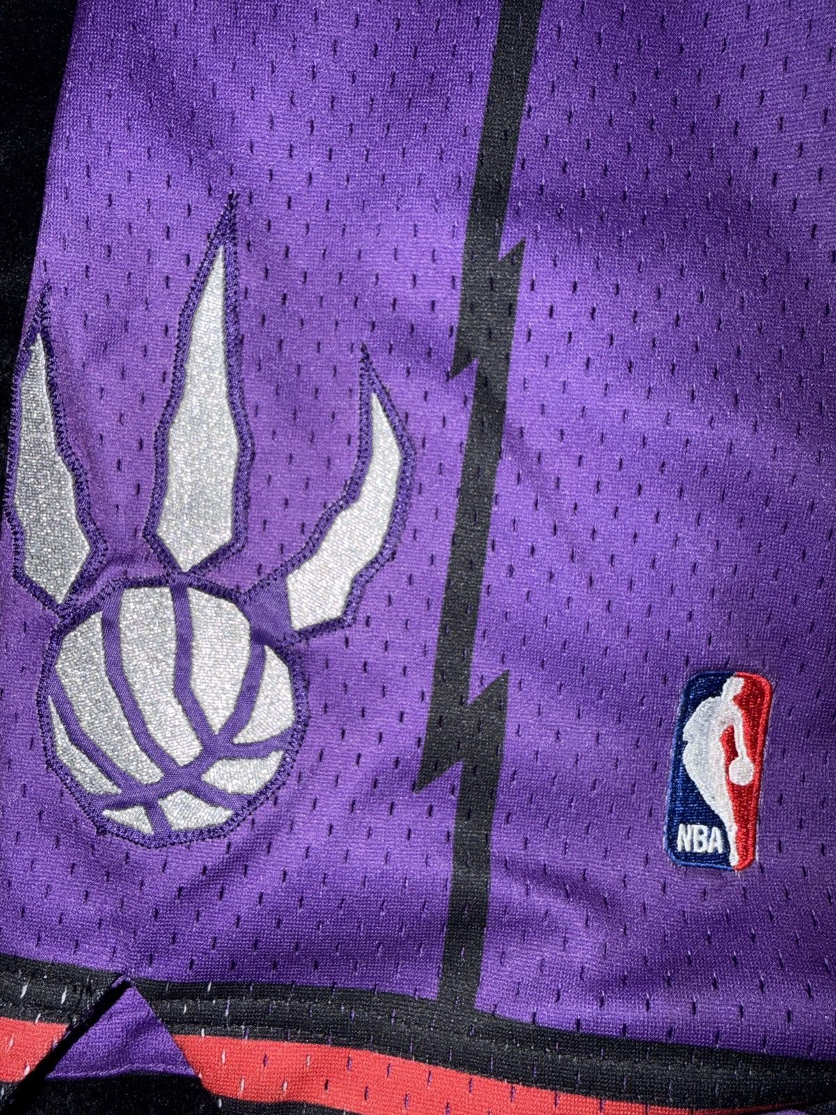 Mitchell & Ness Mitchell & Ness Hardwood Classic Raptor Shorts Size US 44 / EU 60 - 2 Thumbnail