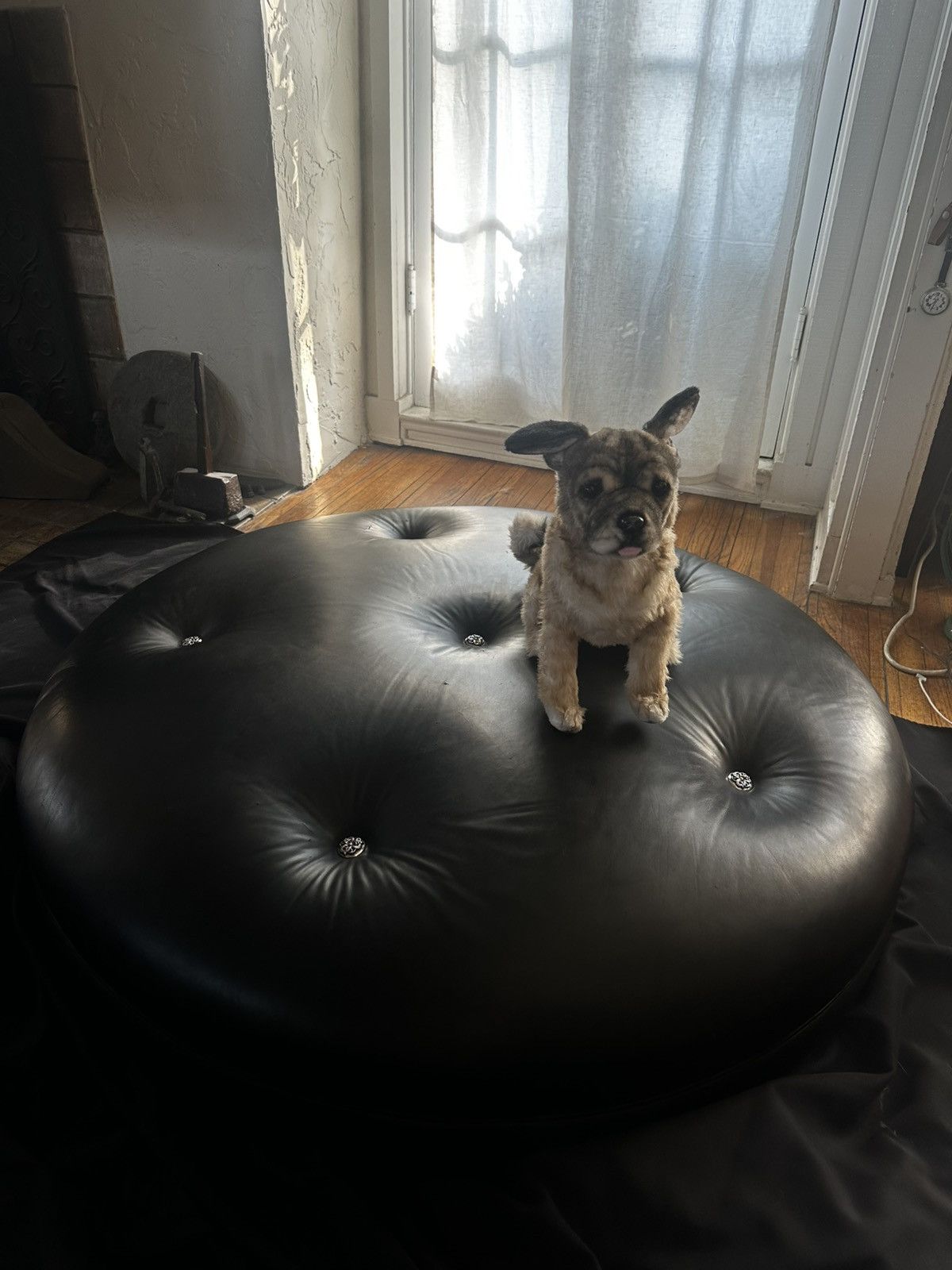 RARE 1/1 Chrome Hearts Black Leather Dog Bed / Ottoman