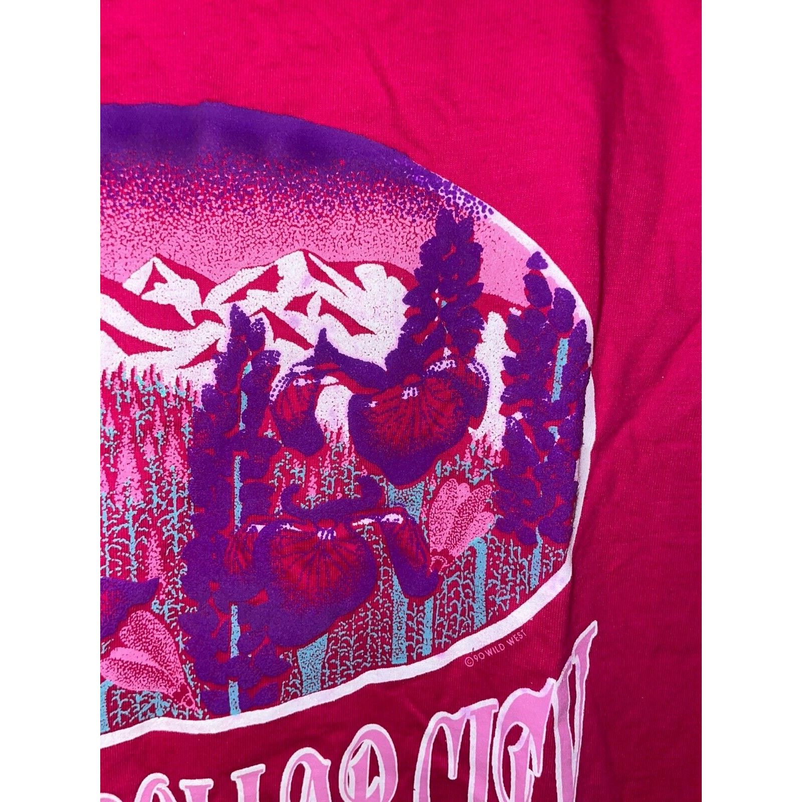 Jerzees Vintage Silver Dollar City Shirt Flower Pink 90s Tee VTG M Size US M / EU 48-50 / 2 - 3 Thumbnail