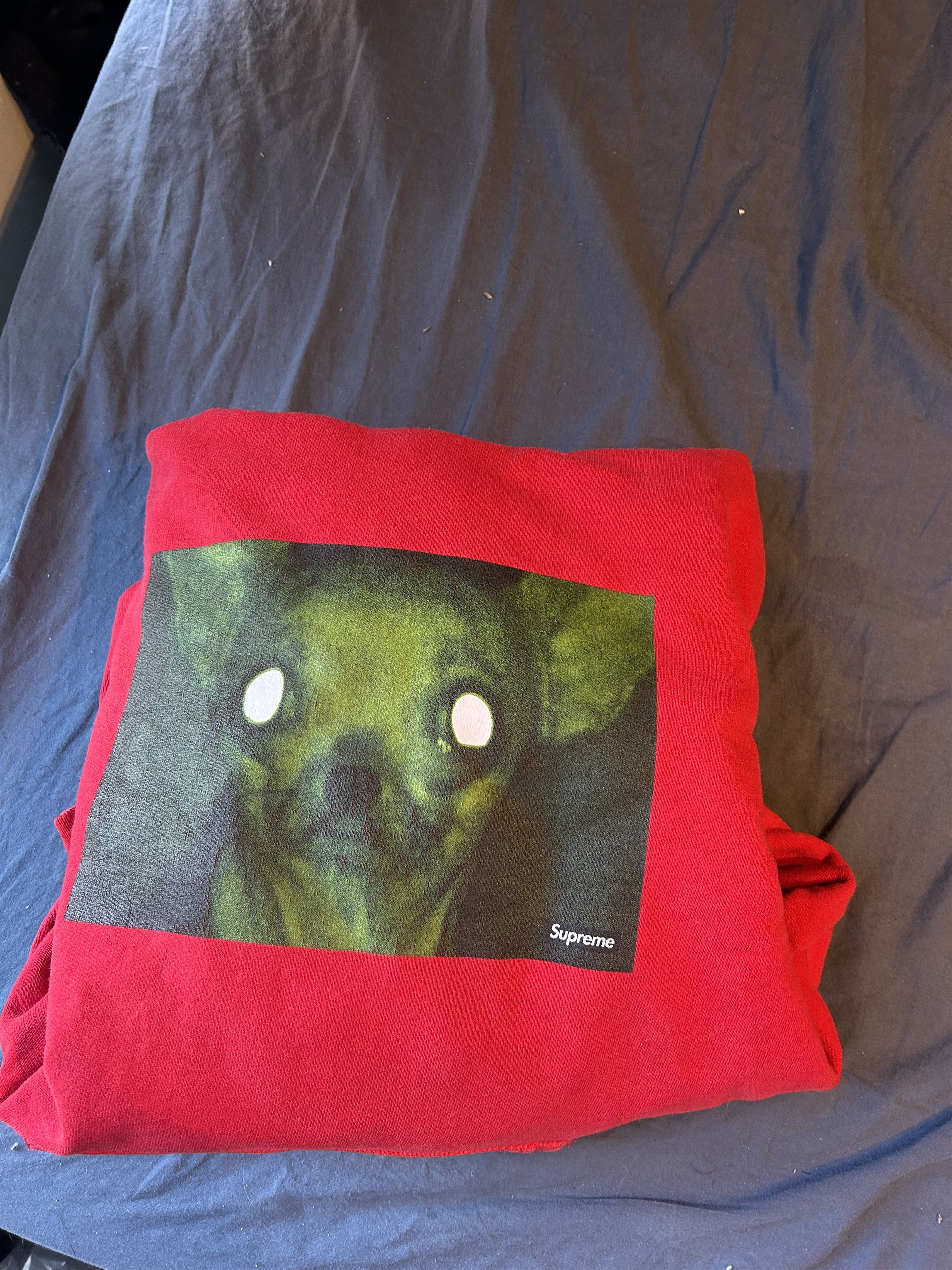 Supreme Supreme Chris Cunningham Chihuahua Hooded Sweatshirt Red Size US M / EU 48-50 / 2 - 1 Thumbnail