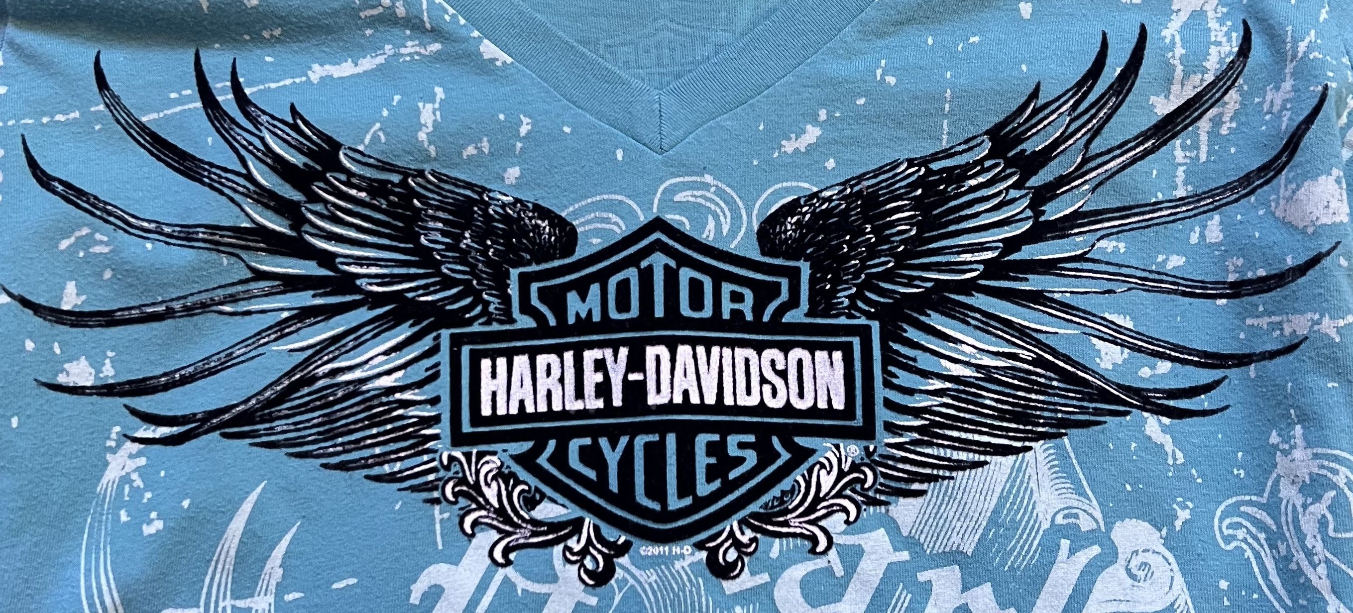 Harley Davidson Harley Davidson Long Sleeve Shirt Mens Small Blue Motorcycle Size US S / EU 44-46 / 1 - 3 Thumbnail