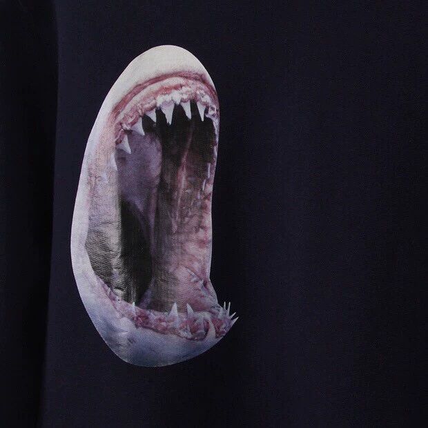 Raf Simons Raf simons 14 Autumn and Winter Shark Print Sweatshirt Size US M / EU 48-50 / 2 - 4 Thumbnail