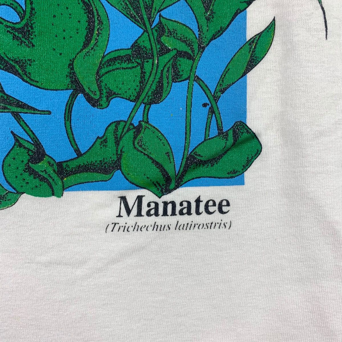 Vintage Vintage 90s FLORIDA Art printed tee Size US L / EU 52-54 / 3 - 9 Thumbnail
