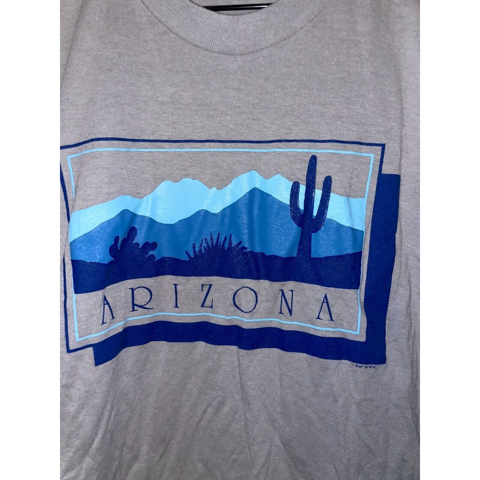 Jerzees 1980s Vintage Arizona Shirt Gray Blue Cactus Tee 80s 1987 M Size US M / EU 48-50 / 2 - 5 Thumbnail