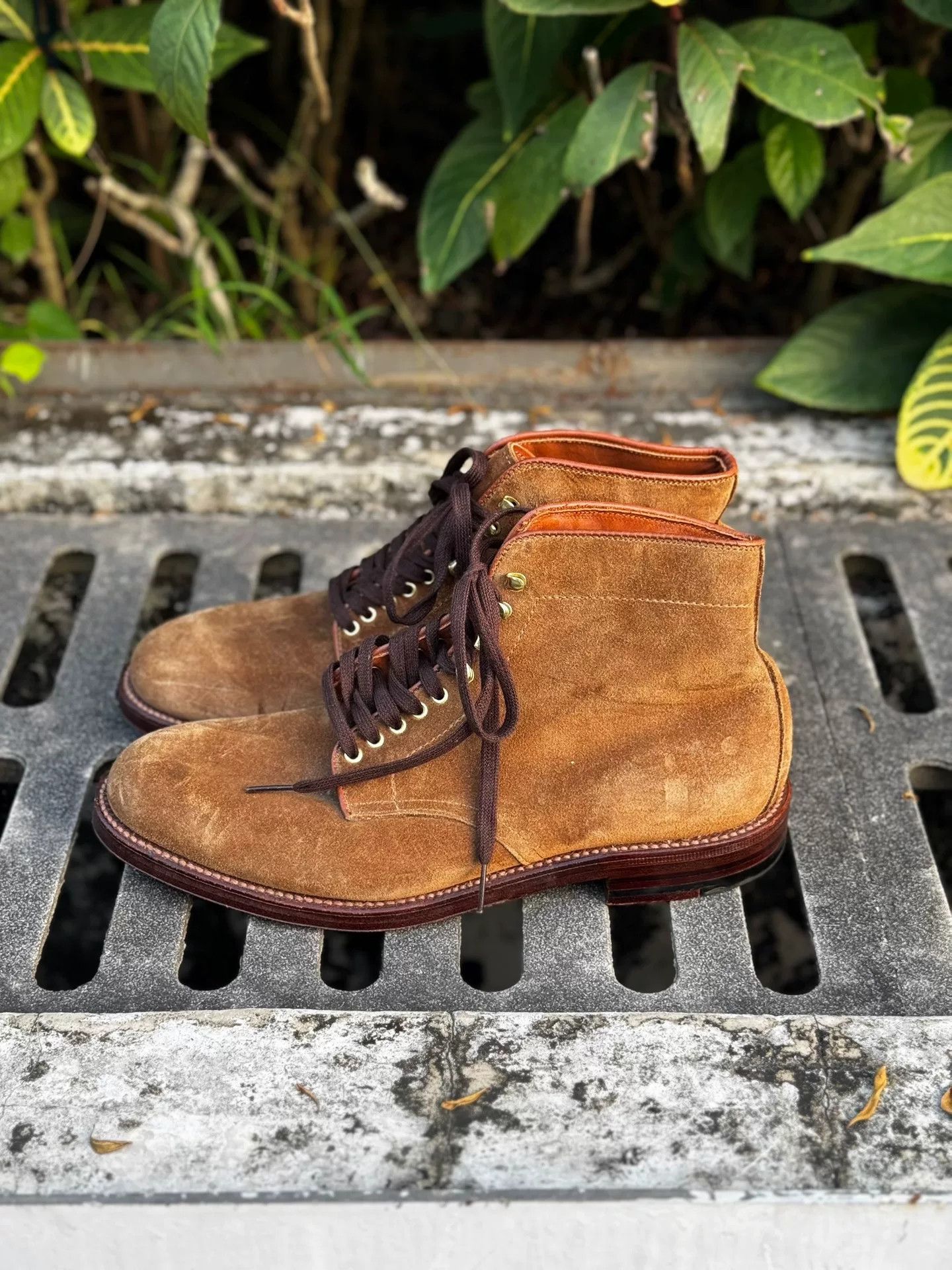 Alden Plain Toe Suede Boot