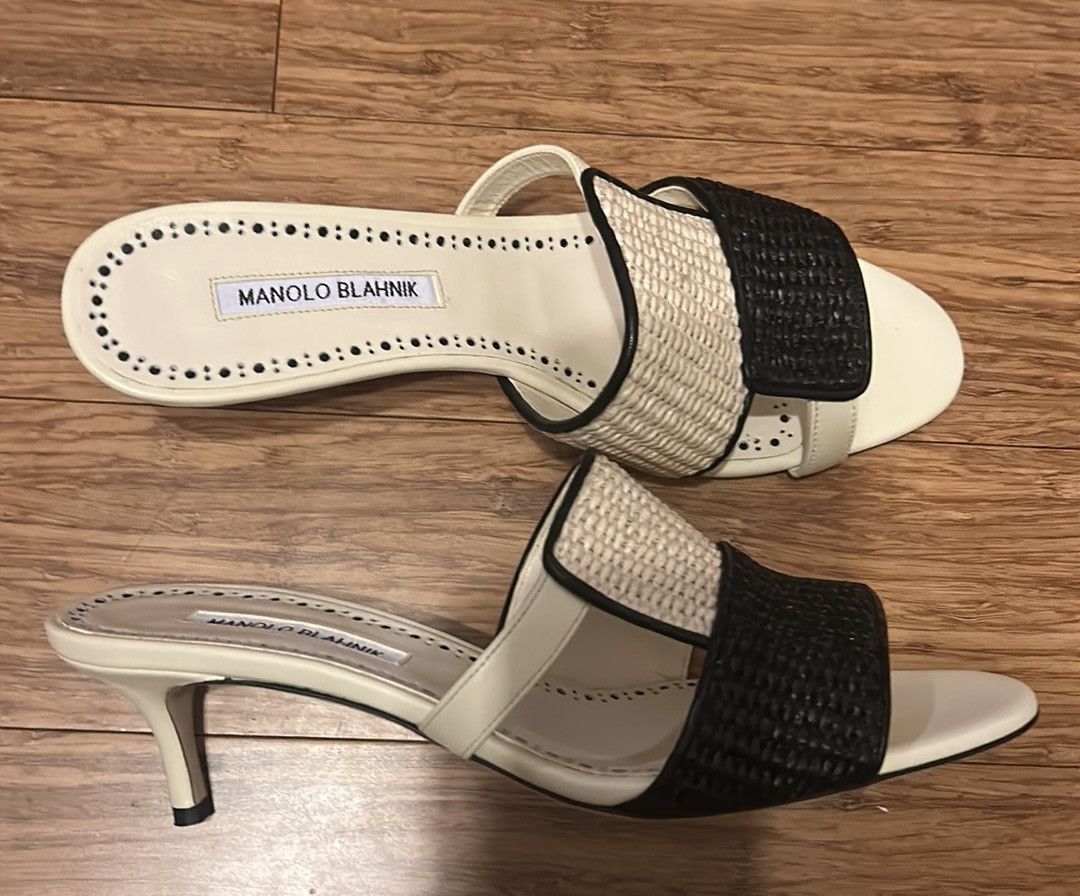 Manolo Blahnik Manolo Blahnik 50mm Fabiolamu mules Size US 10 / IT 40 - 6 Thumbnail
