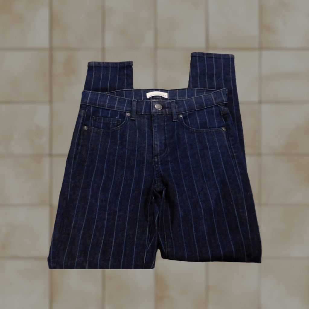 Loft Ann Taylor LOFT Jeans Denim Skinny 2 Blue Womens Striped Stretch Regular 28in Zip Pockets Size 30" / US 8 / IT 44 - 1 Thumbnail