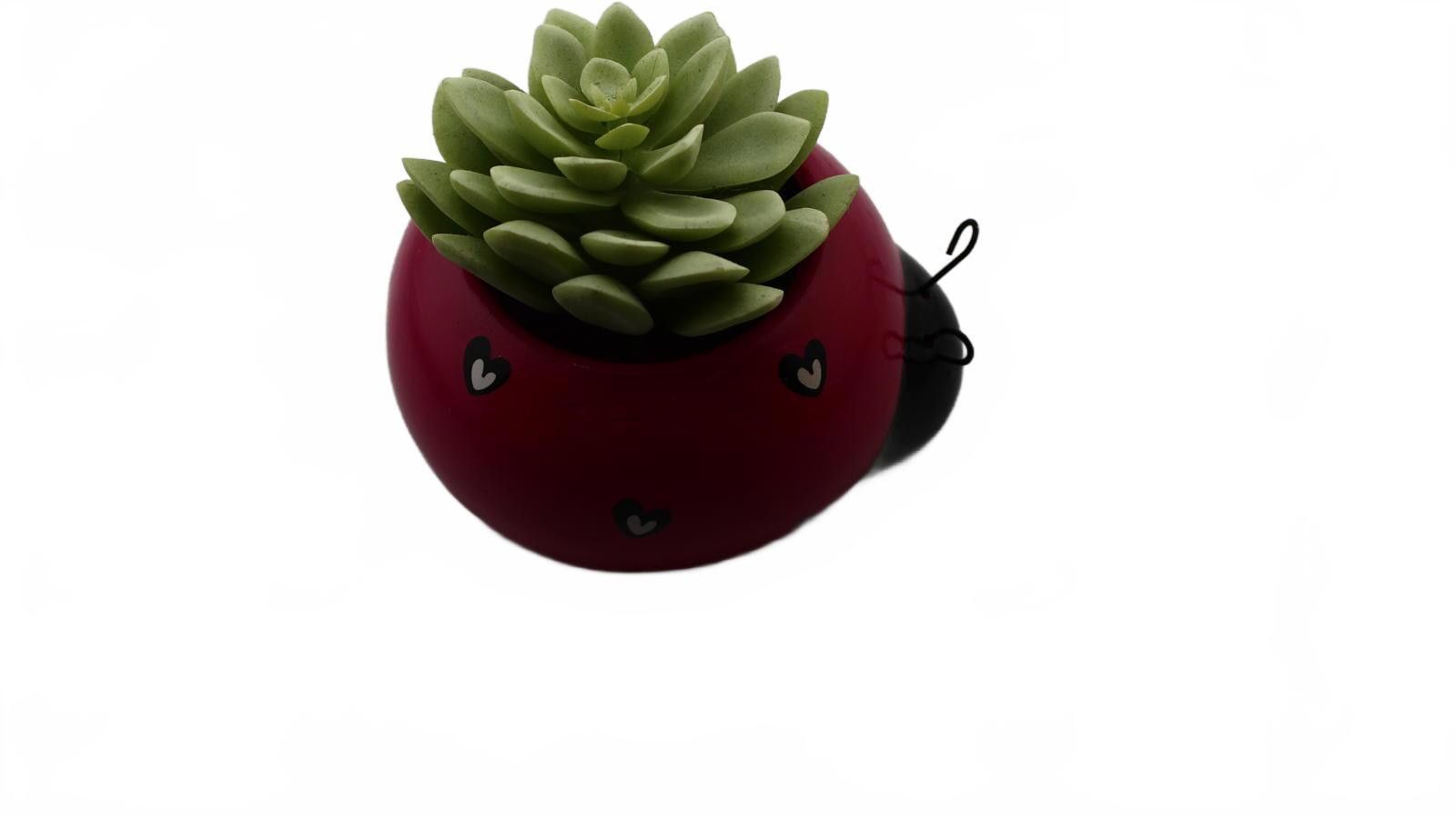 Designer Ladybug Ceramic Planter with Artificial Succulent Size ONE SIZE - 4 Thumbnail