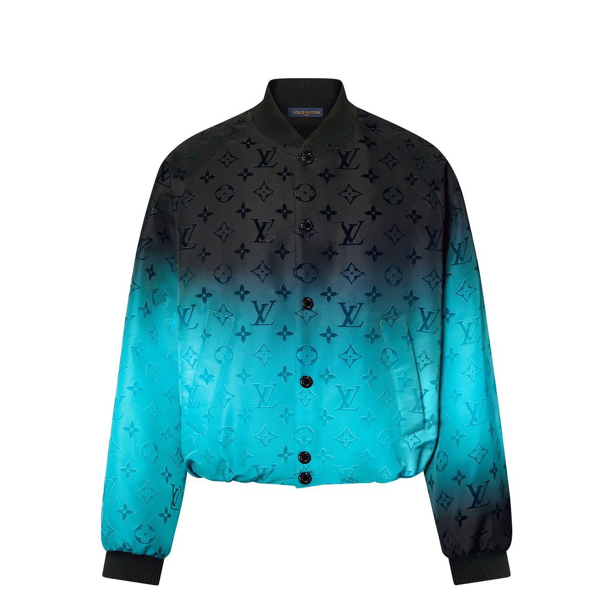 Louis Vuitton Monogram Flocked Nylon Bomber