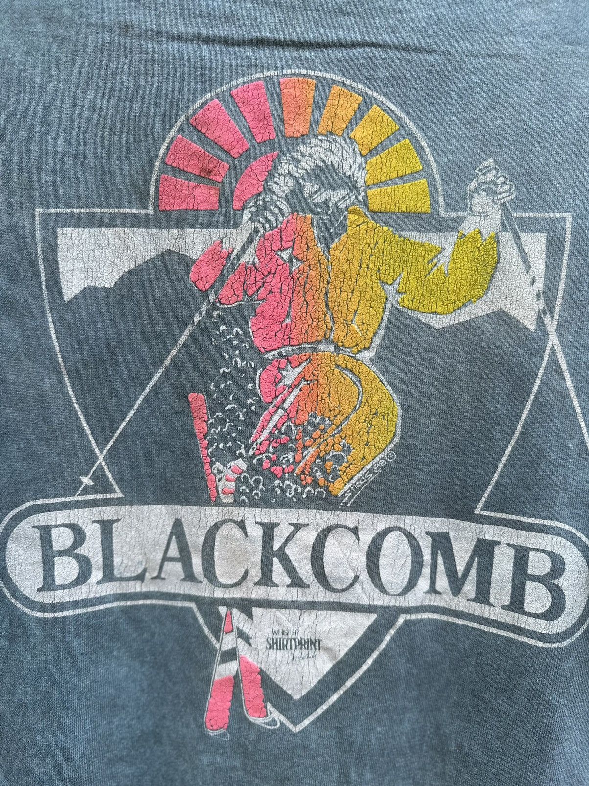 Sears Thrashed Vintage Whistler Blackcomb Distress Tee Size US L / EU 52-54 / 3 - 3 Thumbnail