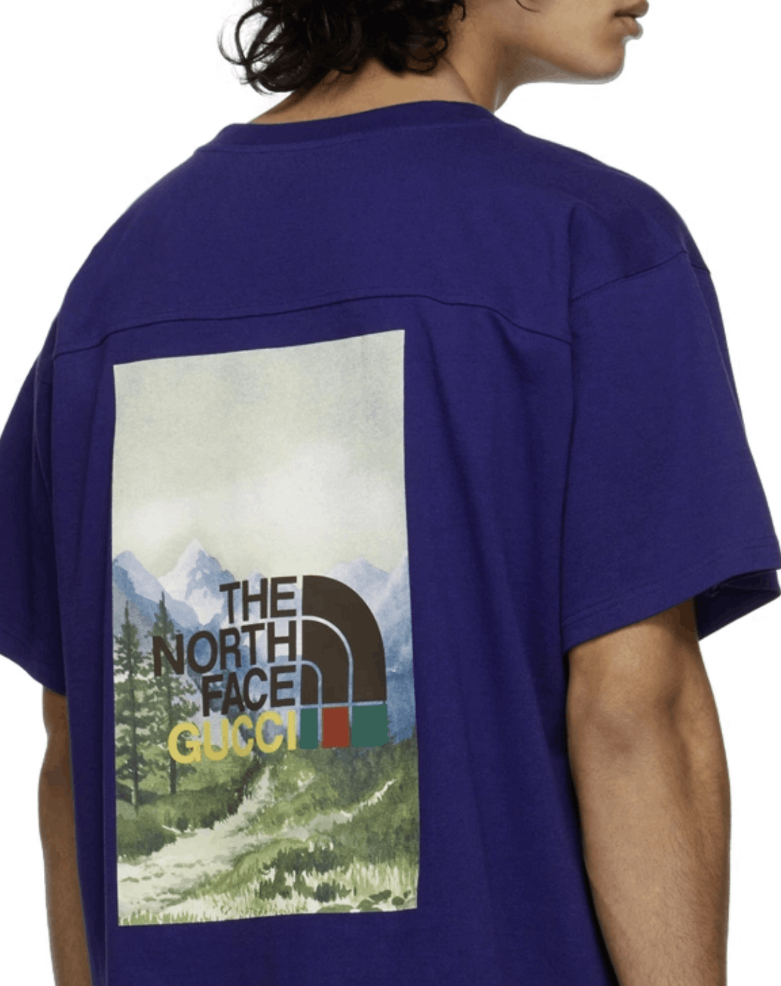Gucci GUCCI The North Face T-Shirt Size US L / EU 52-54 / 3 - 2 Thumbnail