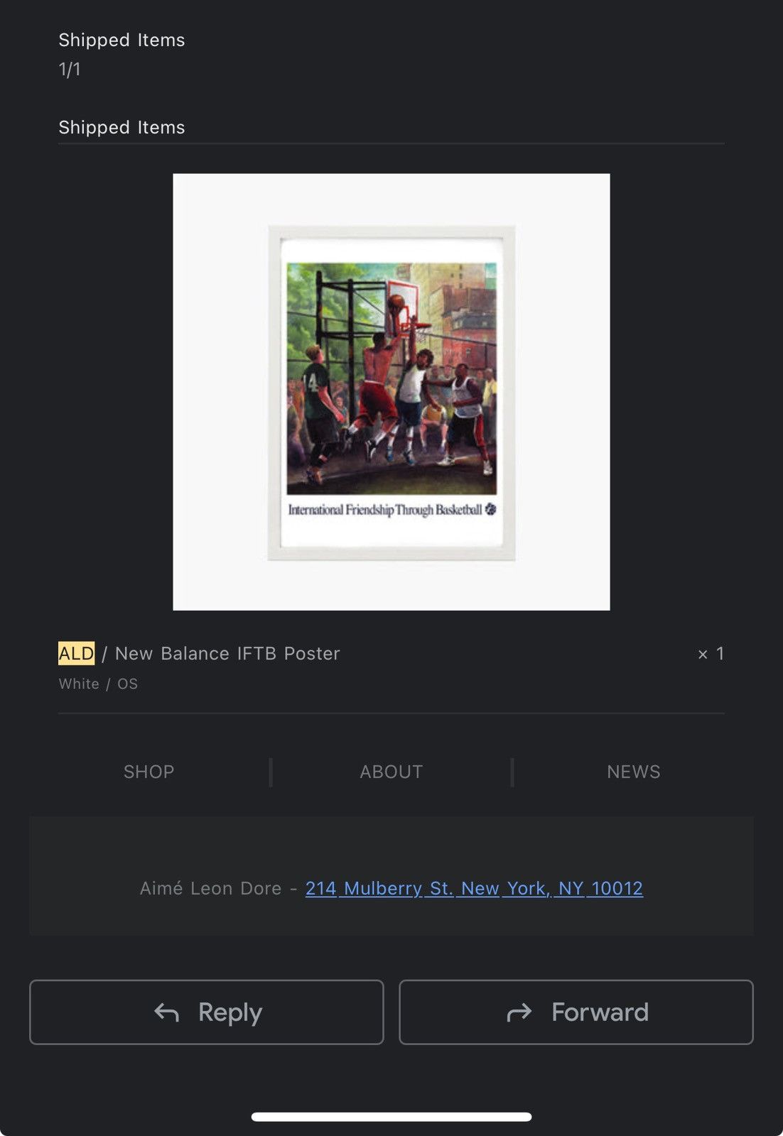 Aime Leon Dore × New Balance Aimé Leon Dore/ New Balance Rare Basketball Poster Size ONE SIZE - 4 Thumbnail