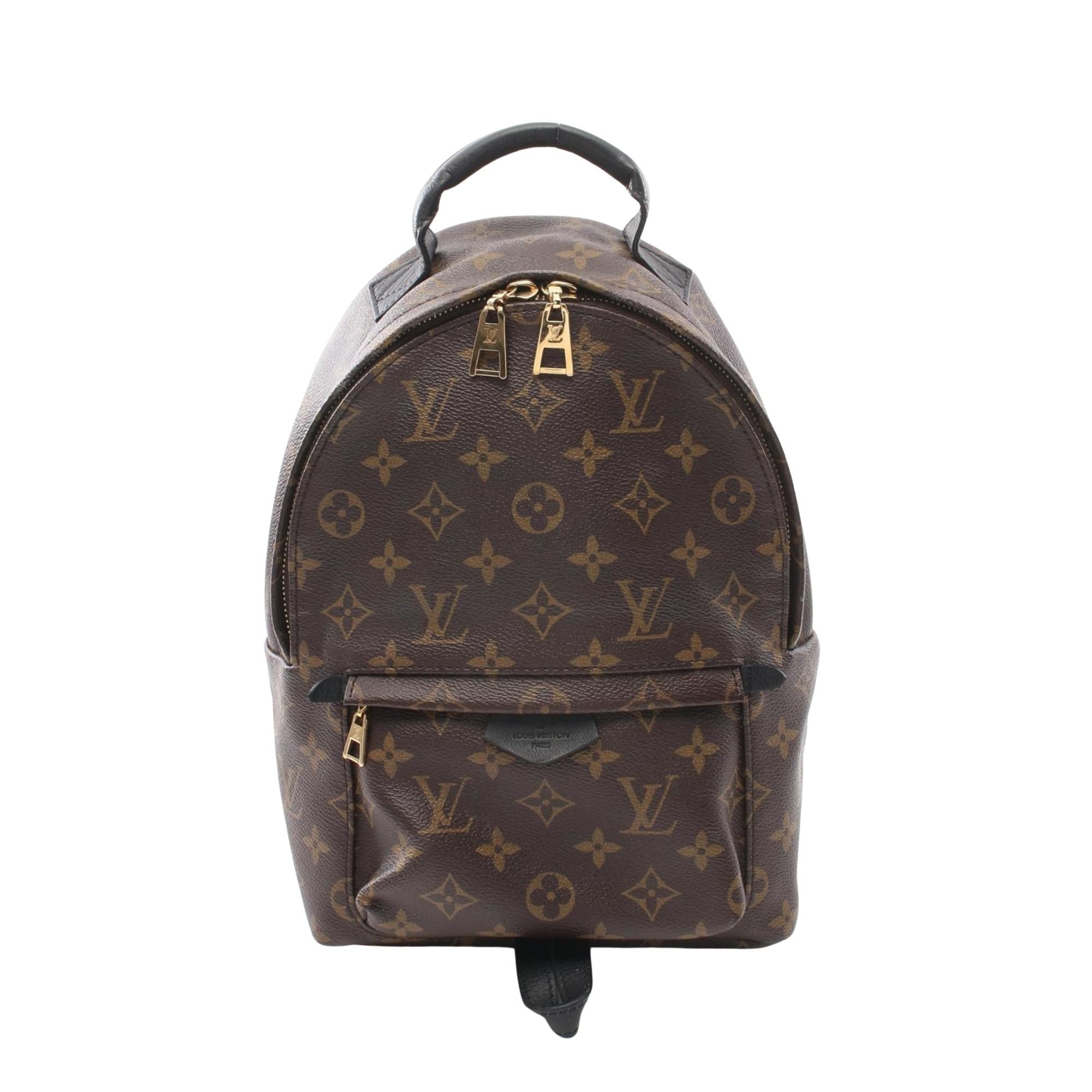 Louis Vuitton Louis Vuitton Palm Springs backpack Size ONE SIZE - 1 Thumbnail