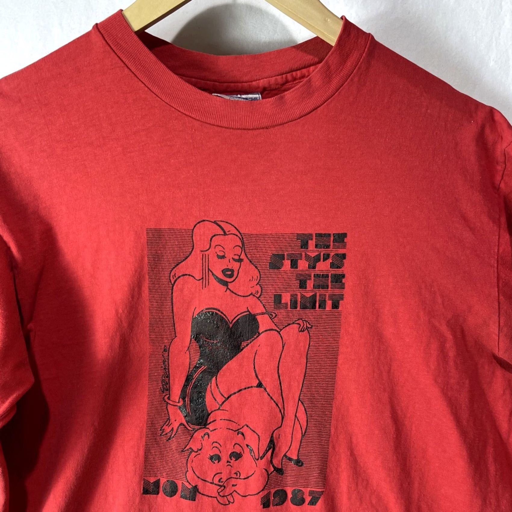 Hanes VINTAGE Hanes The Sty’s The Limit T-Shirt Mens Long Sleeve L Red USA Logo 80s Classic Size US L / EU 52-54 / 3 - 4 Thumbnail