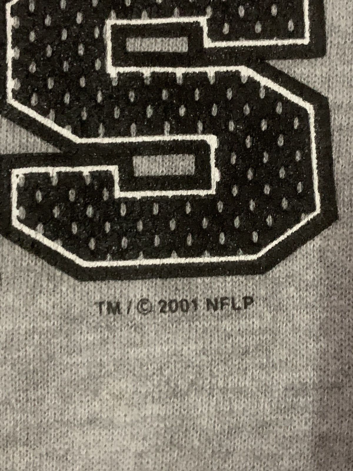 NFL Vintage Y2K Oakland Raiders Hoodies Size US L / EU 52-54 / 3 - 5 Thumbnail