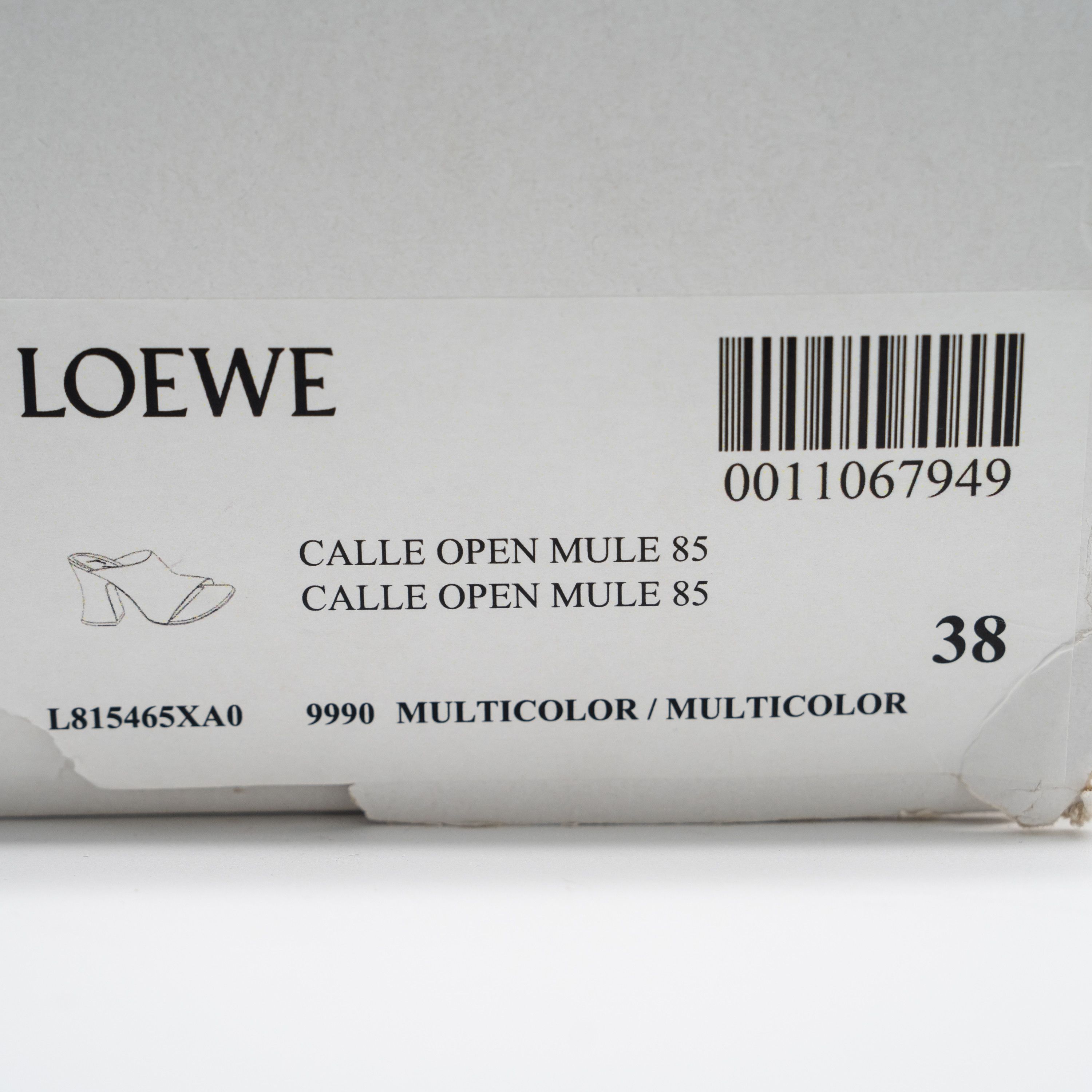 Loewe Loewe Calle Floral Embroidered Open Mule Sandals Size US 8 / IT 38 - 13 Thumbnail