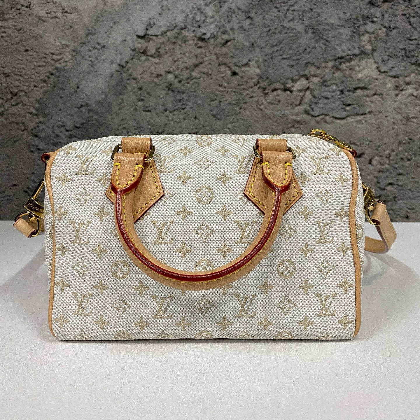 Louis Vuitton LV Speedy Pillow Bag white denim Size ONE SIZE - 2 Thumbnail