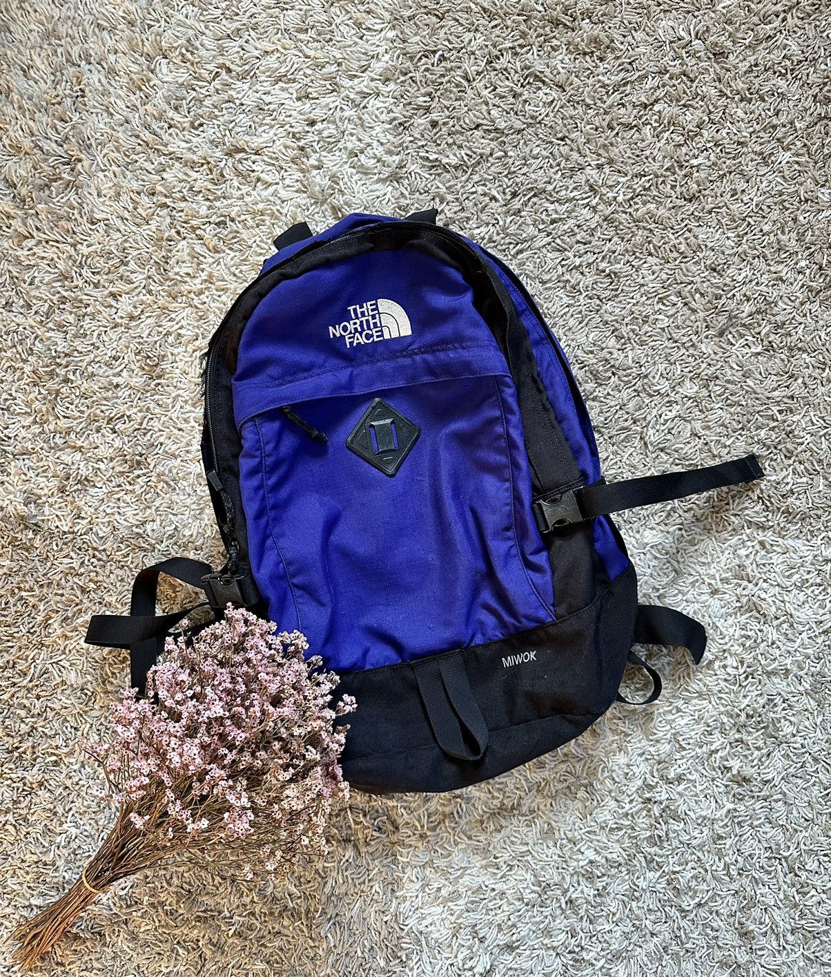 North face miwok backpack hot sale