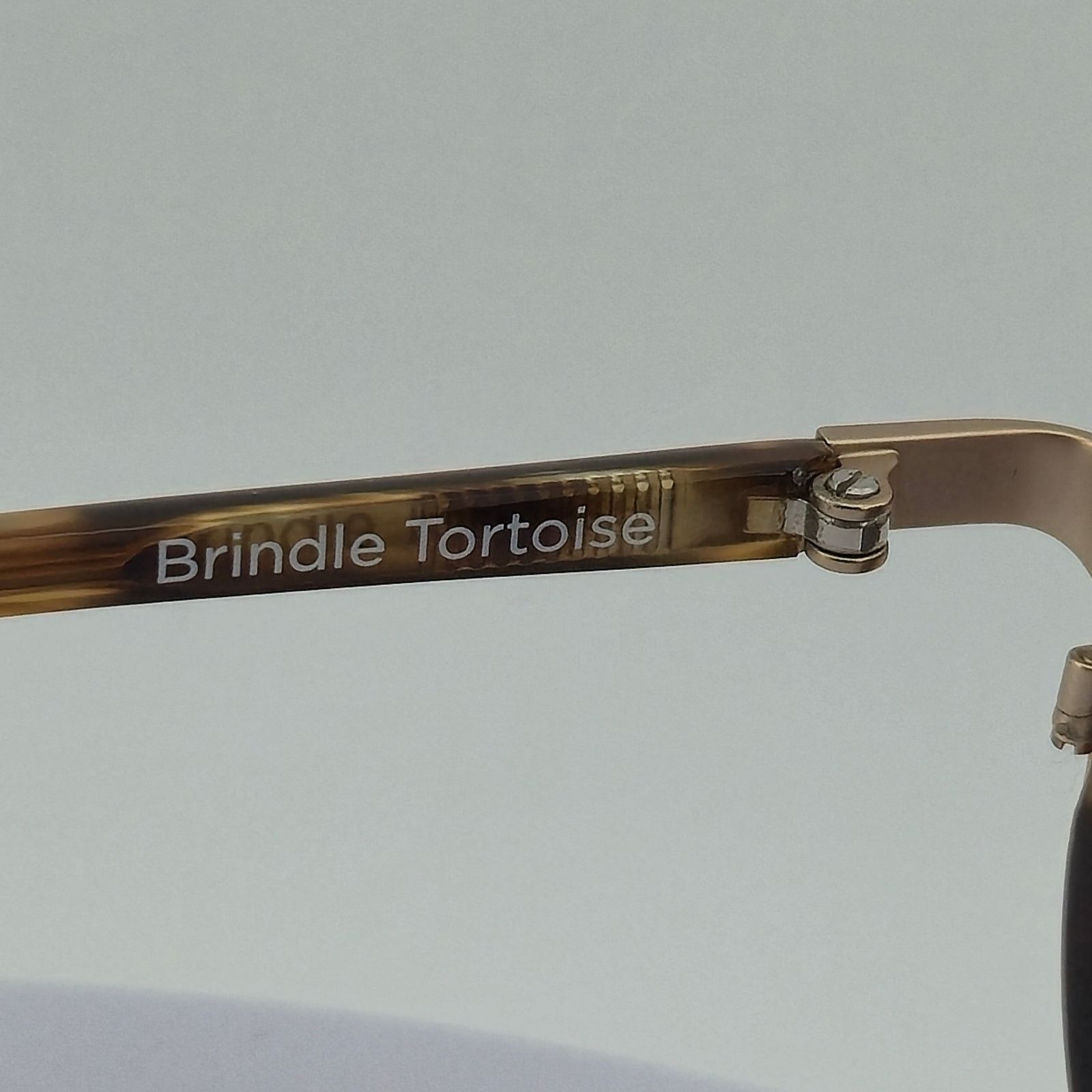RAEN RAEN Fairbank Brindle Tortoise Round Sunglasses Handmade USA Size ONE SIZE - 8 Thumbnail
